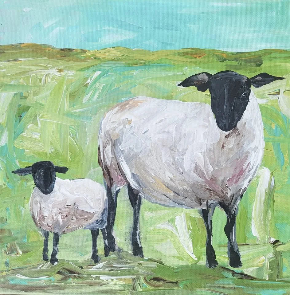 sheep.jpg