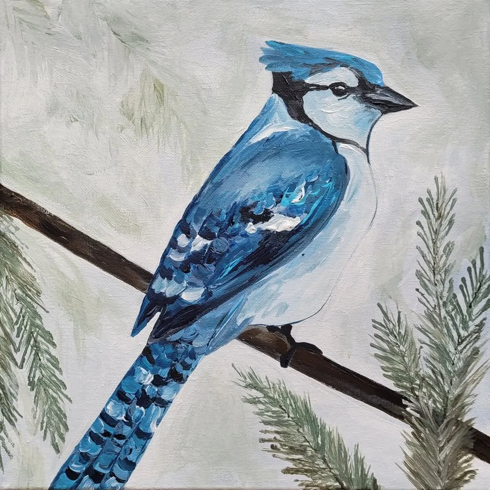 blue jay.jpg