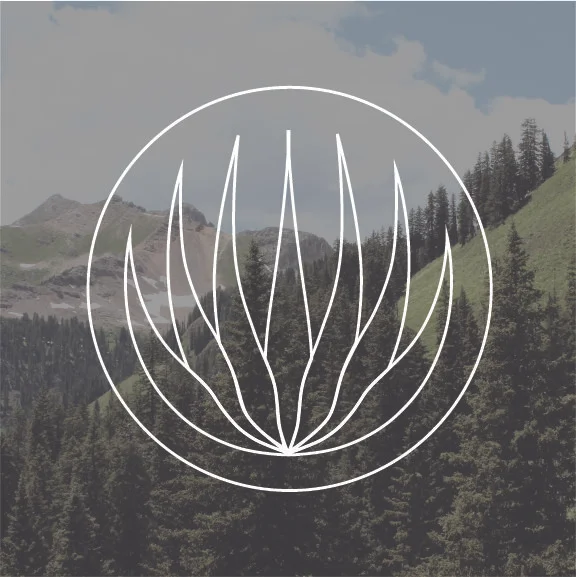 Agave Logo_Image Overlay.jpg