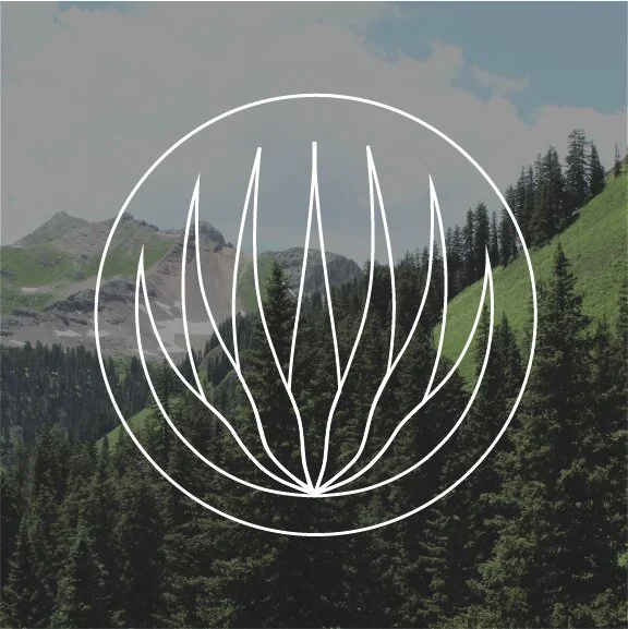 Agave Logo_Image Overlay.jpg