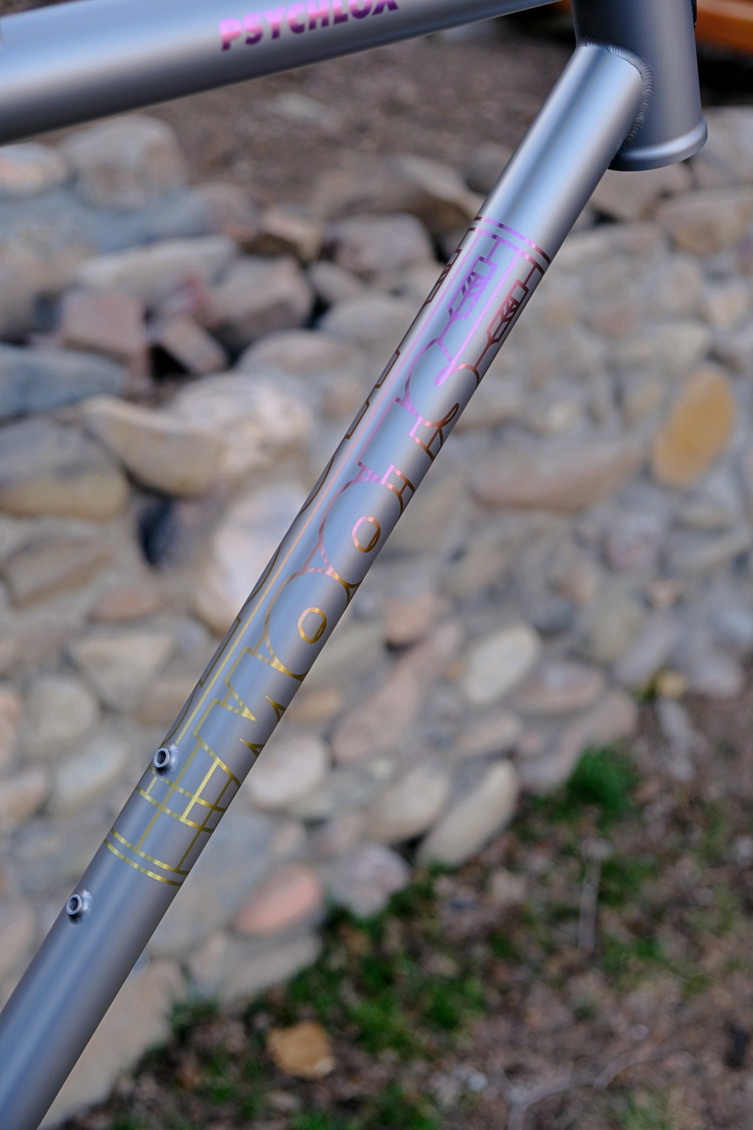 DSCF2320.JPG