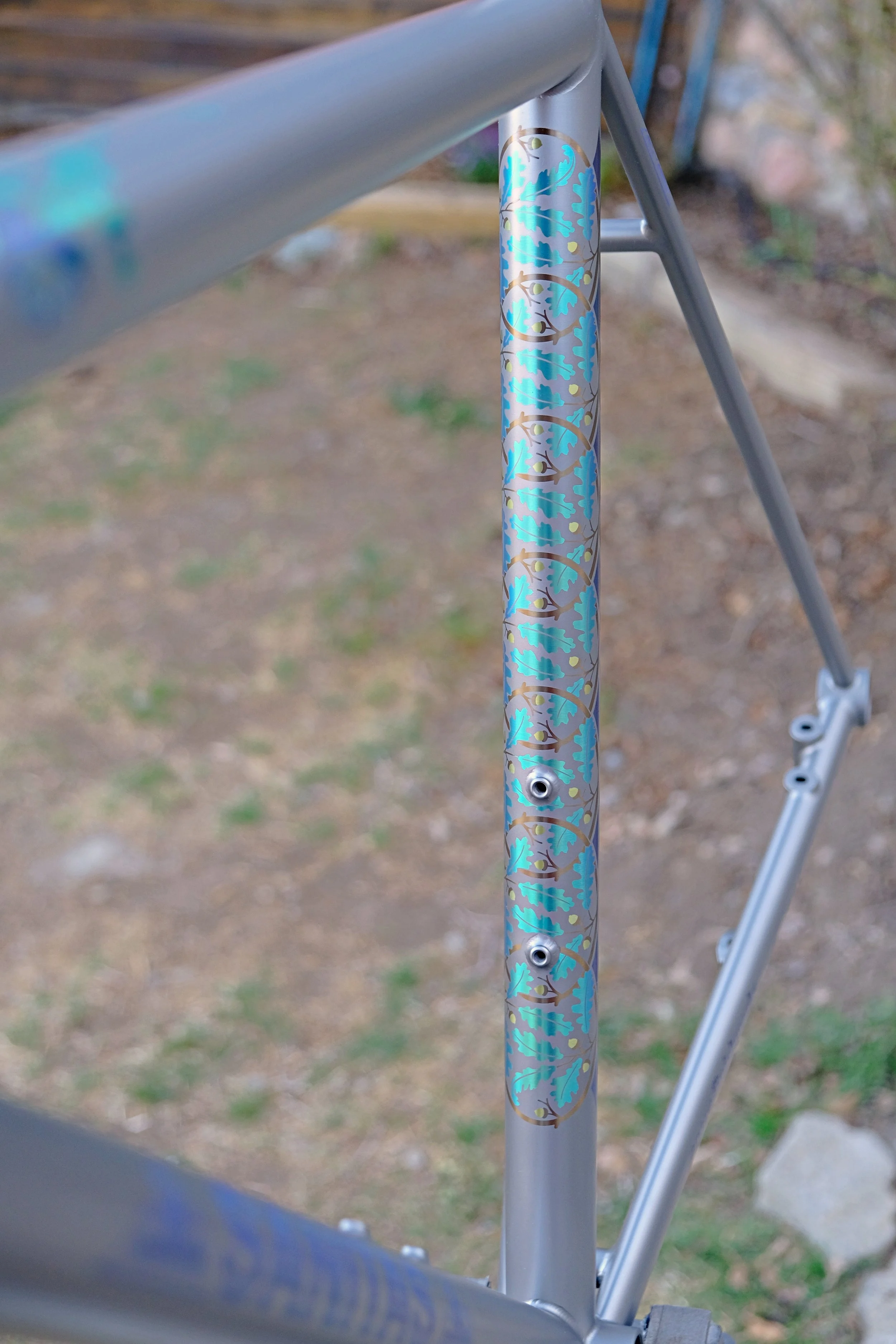 DSCF2705.JPG