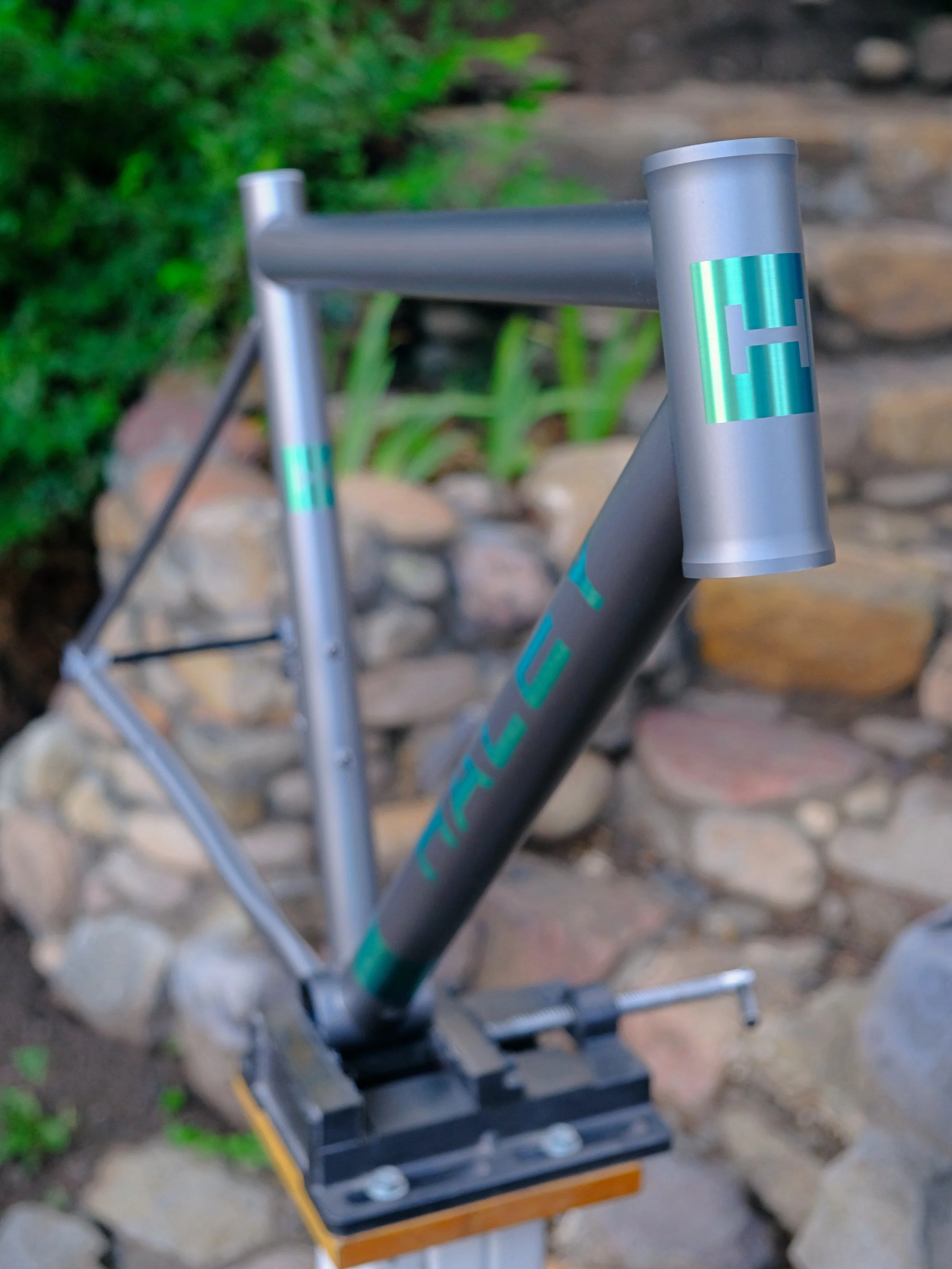 DSCF6305.JPG