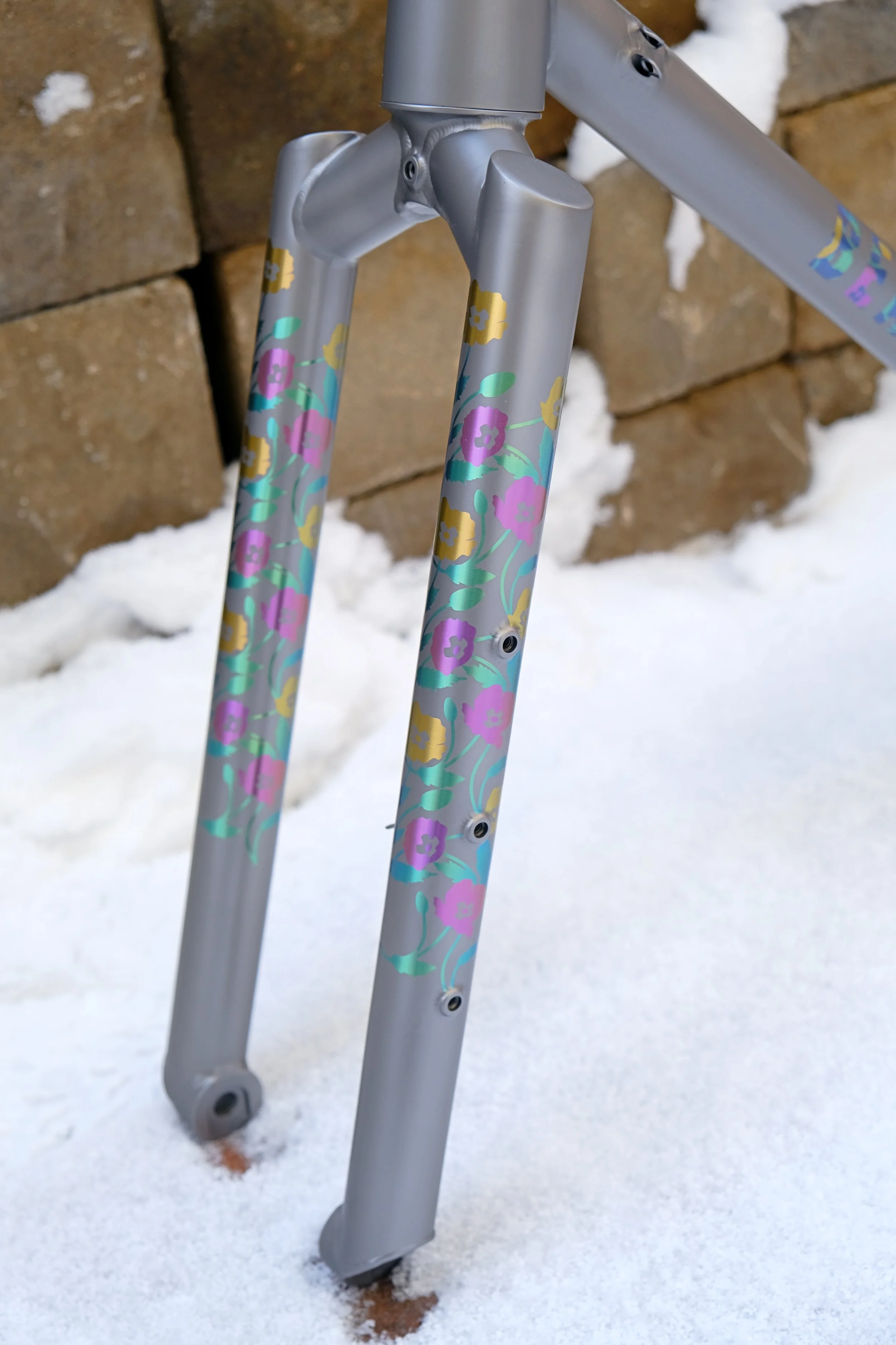 DSCF3542.JPG