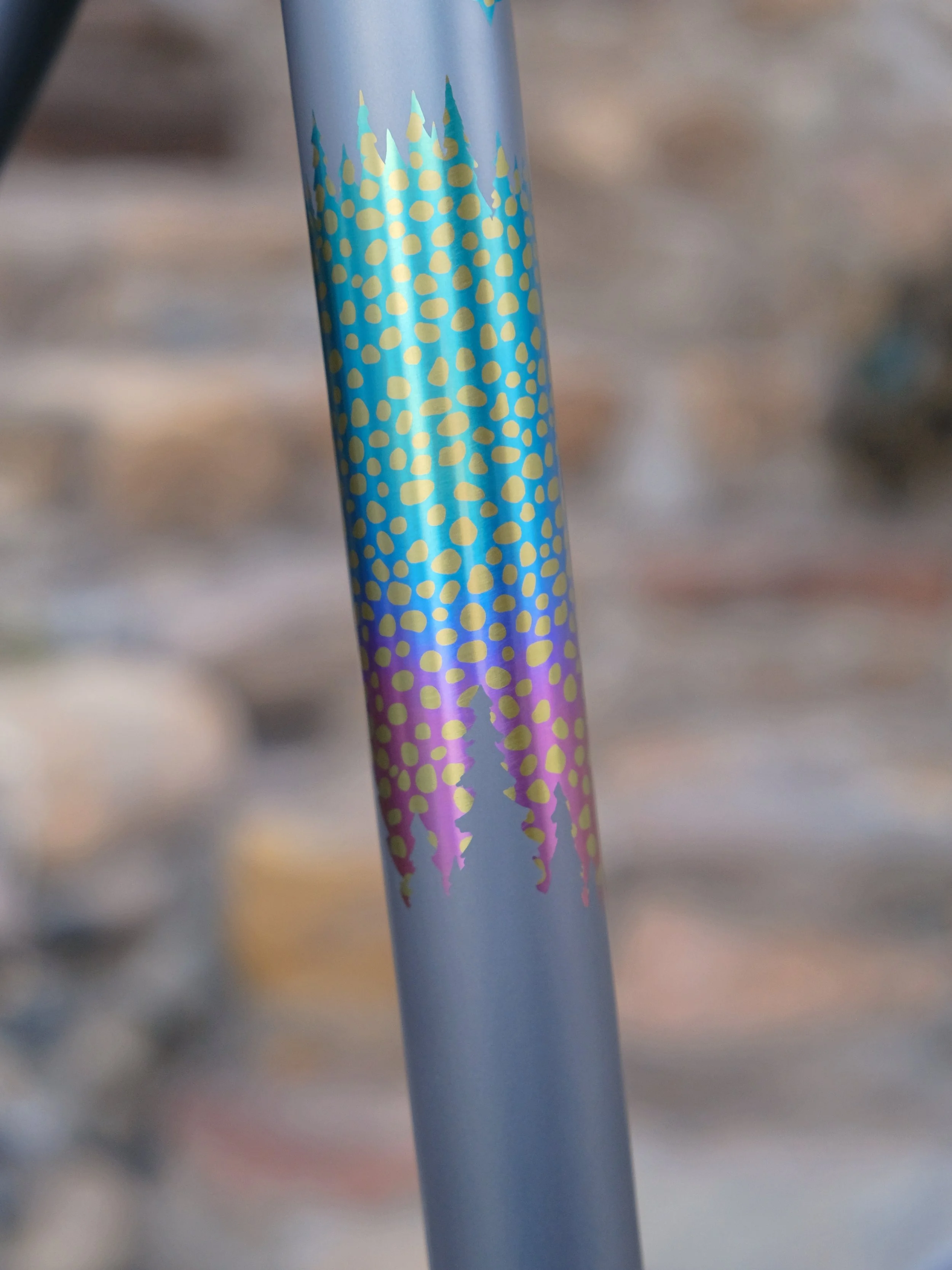 DSCF4890.JPG