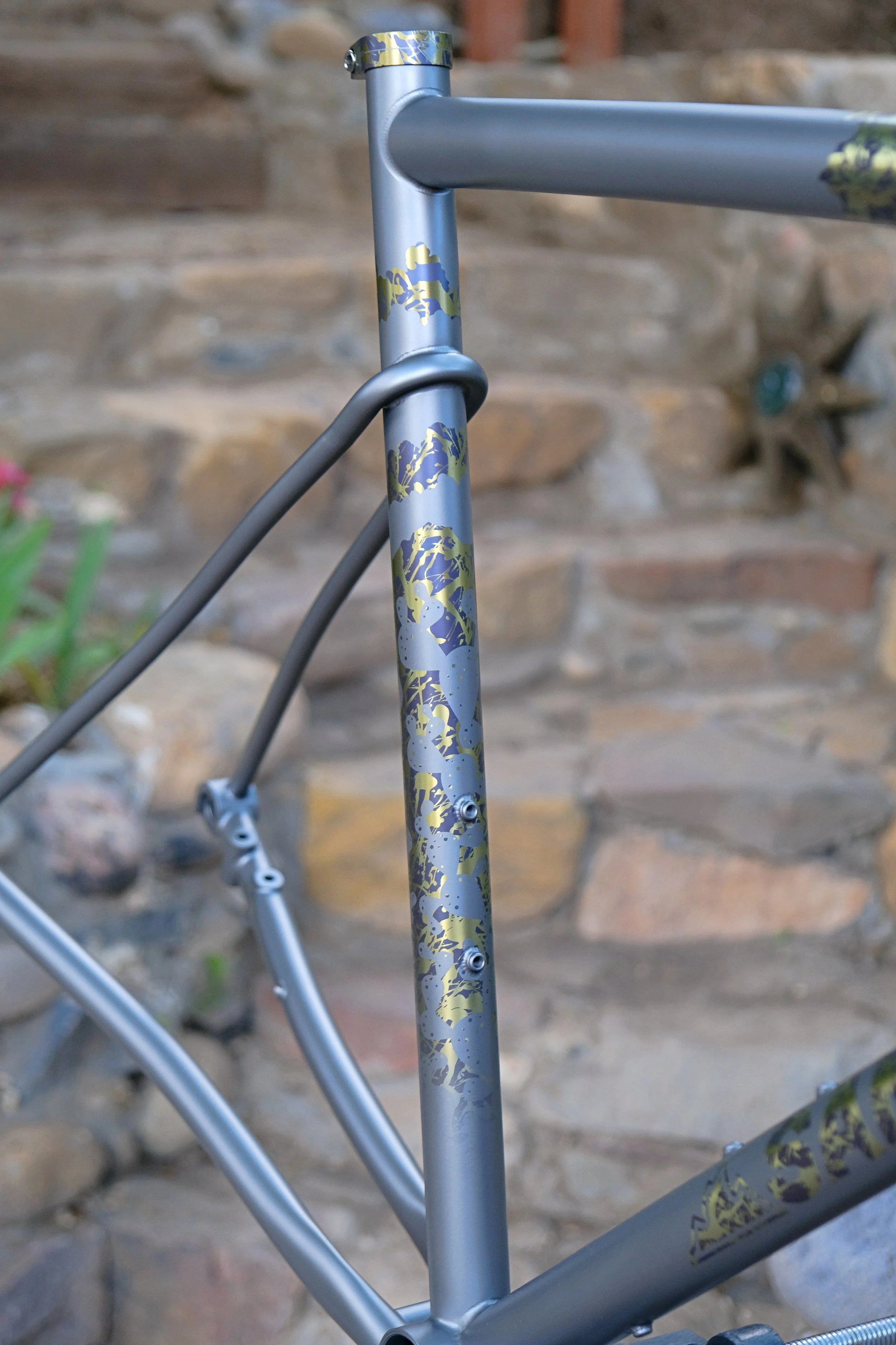DSCF7340.JPG
