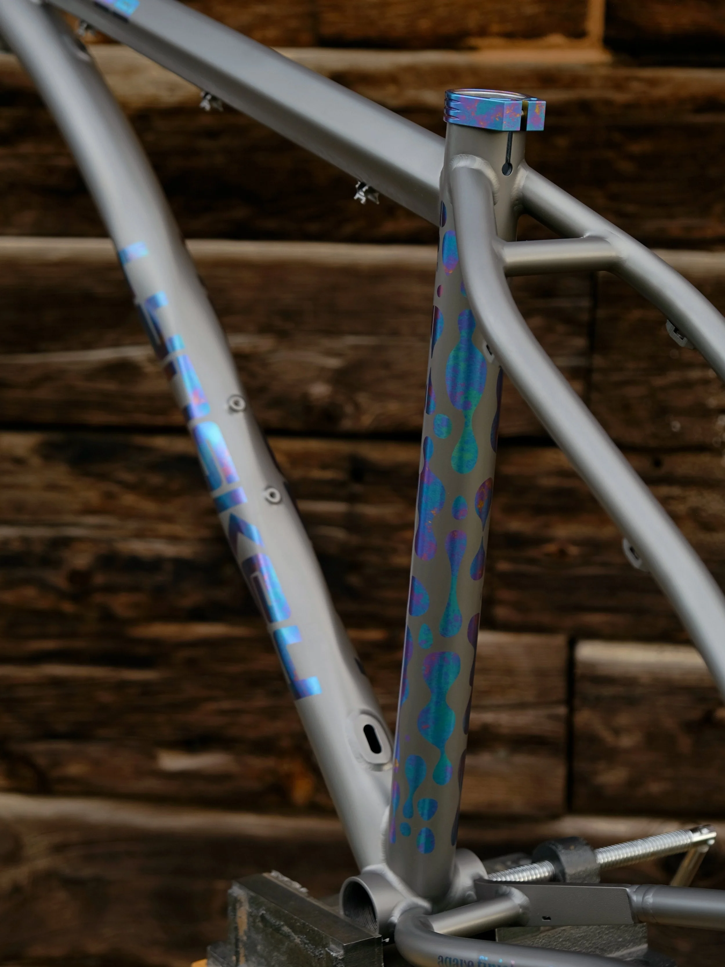 DSCF6543.JPG