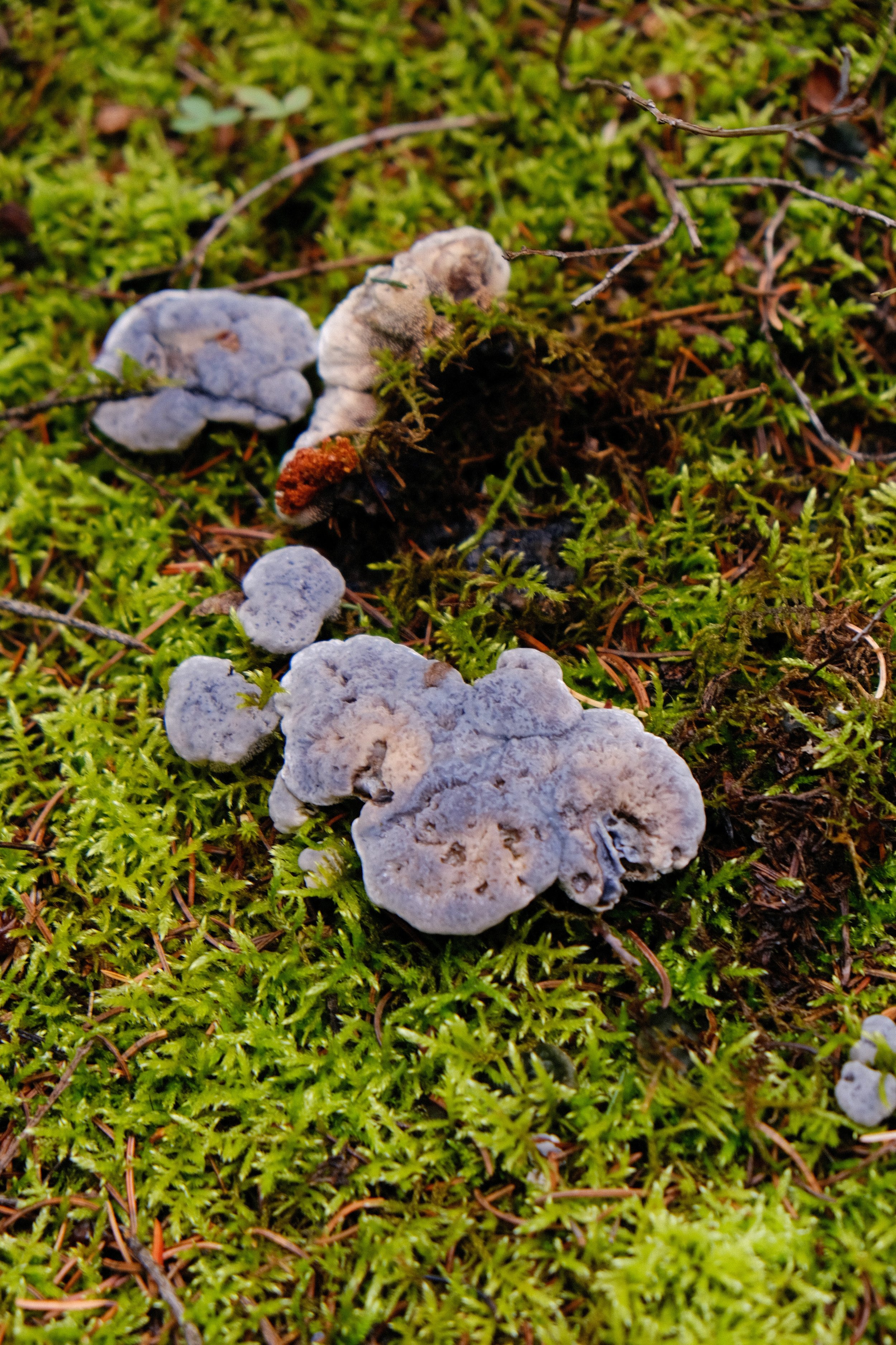 DSCF9421.JPG