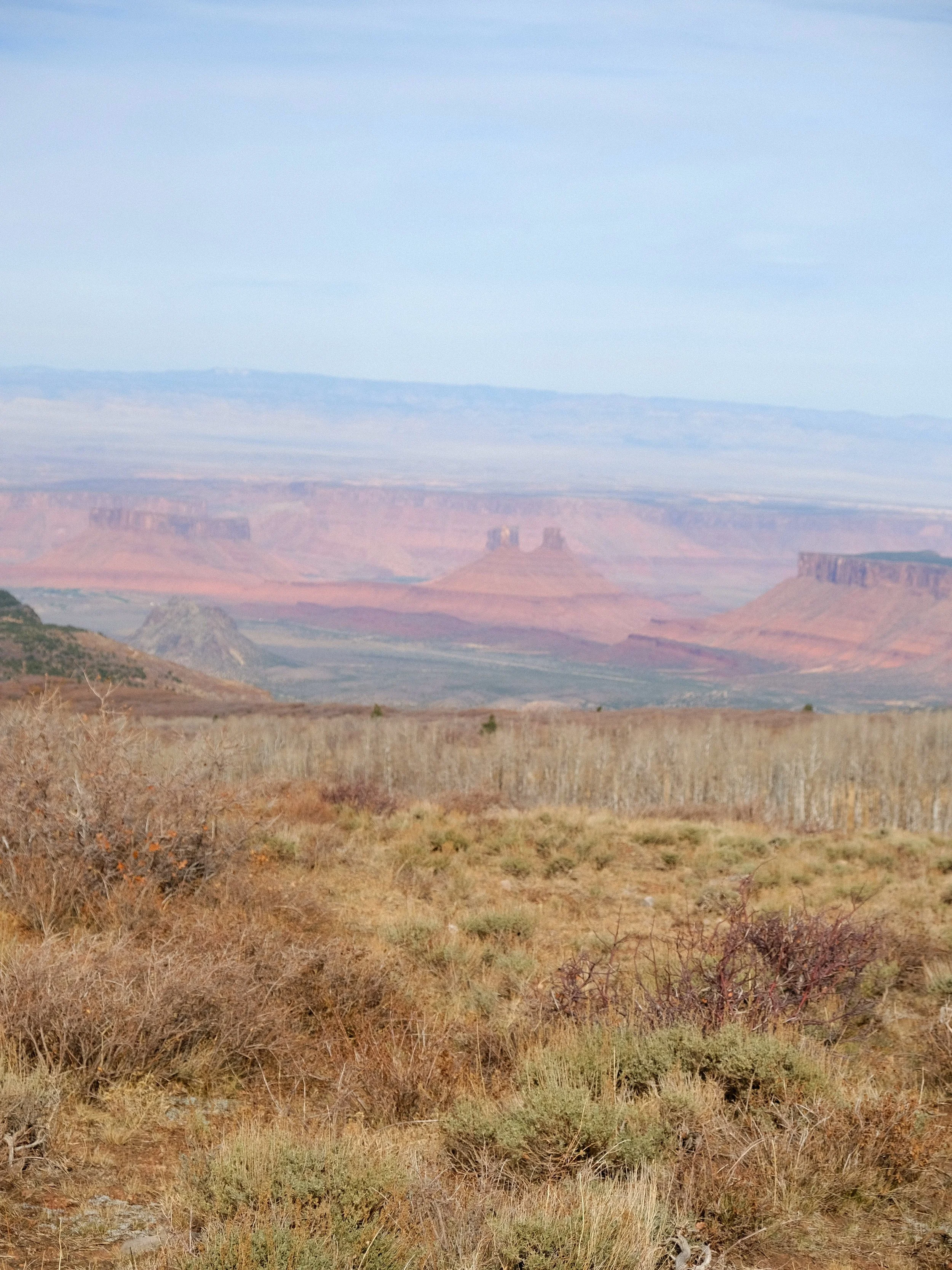 DSCF0980.JPG