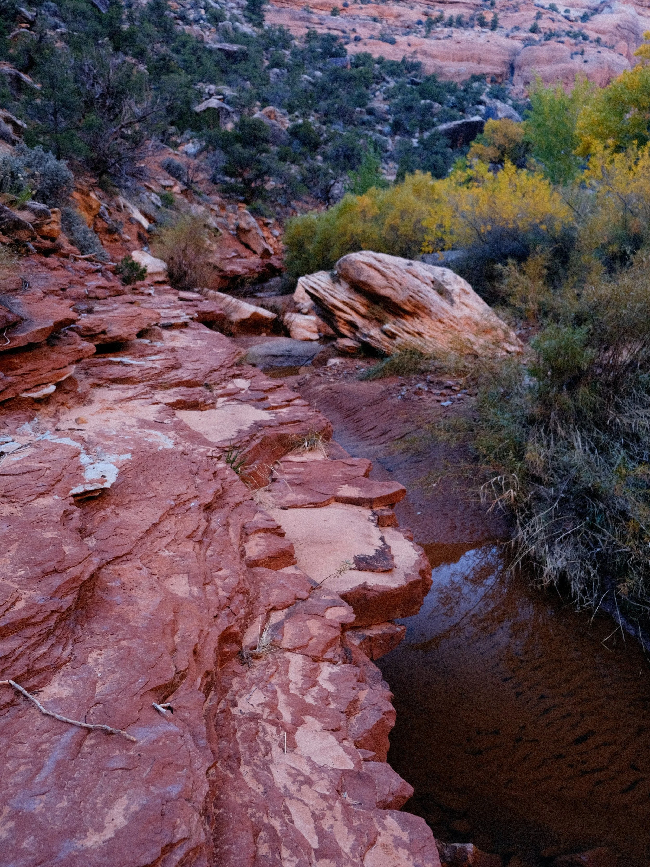DSCF1486.JPG