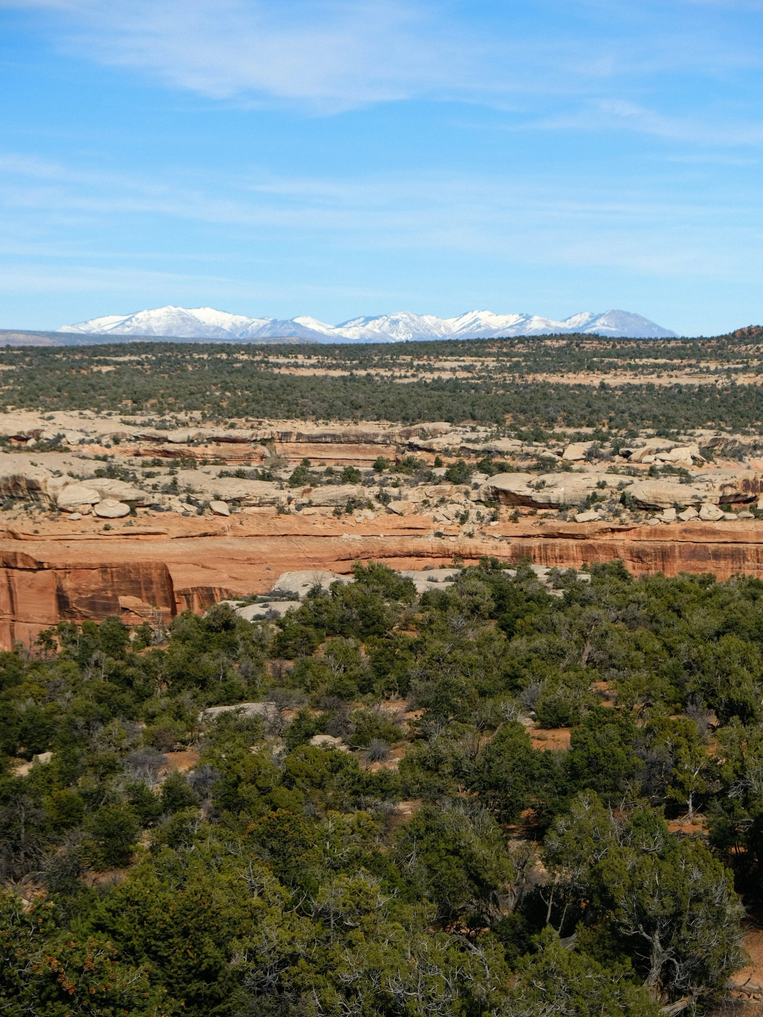 DSCF1540.JPG