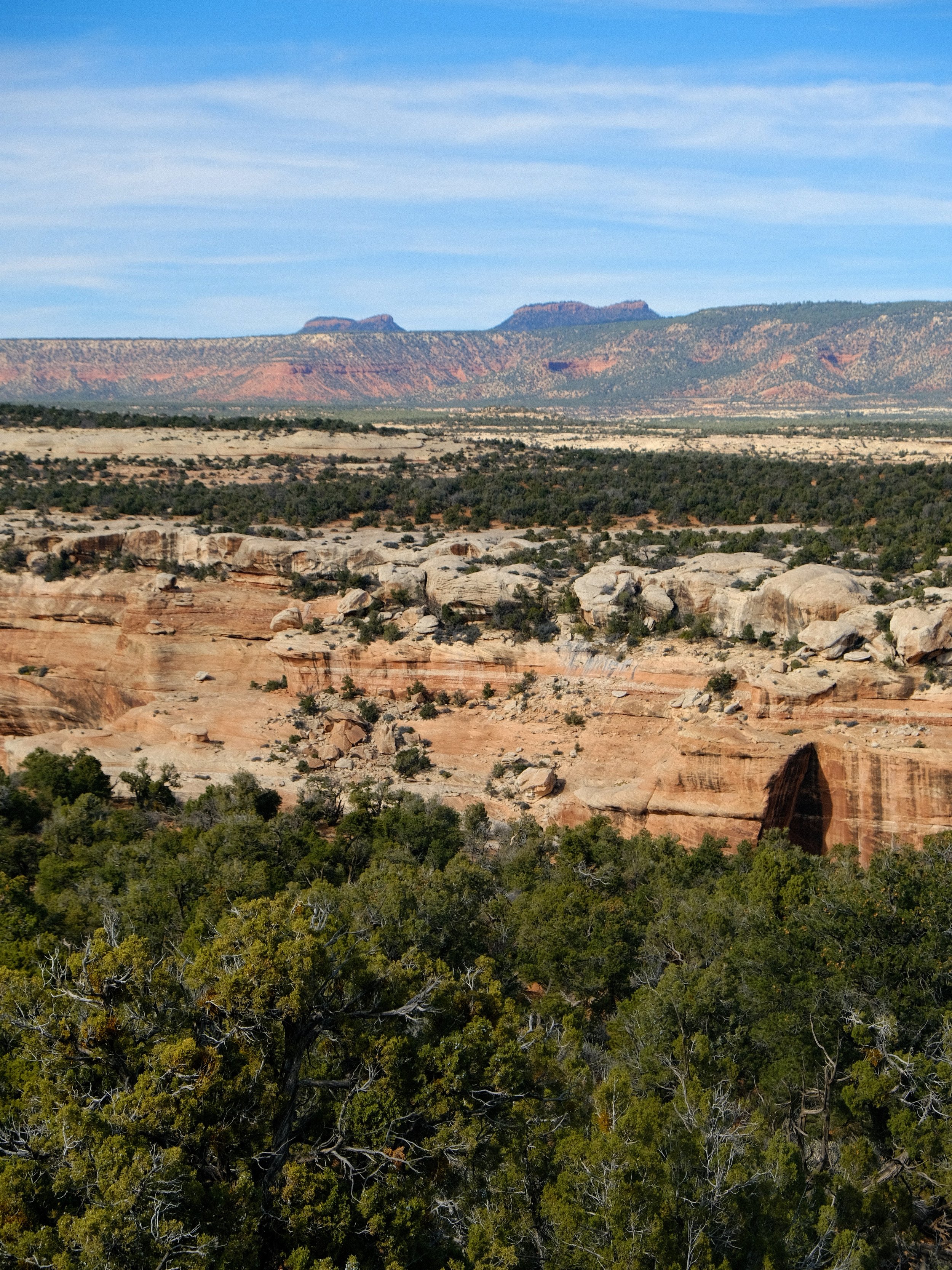 DSCF1541.JPG