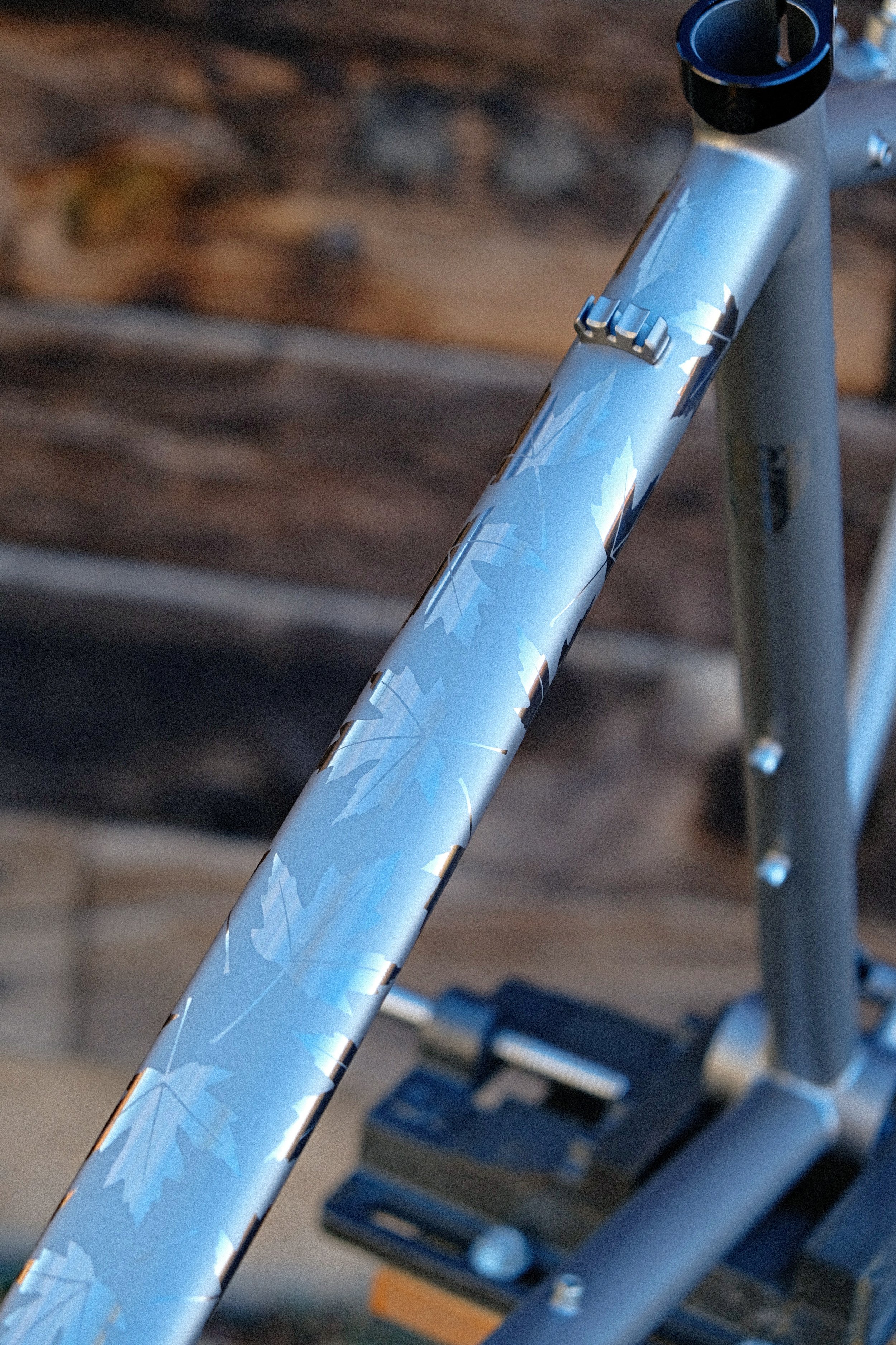 DSCF1569.JPG