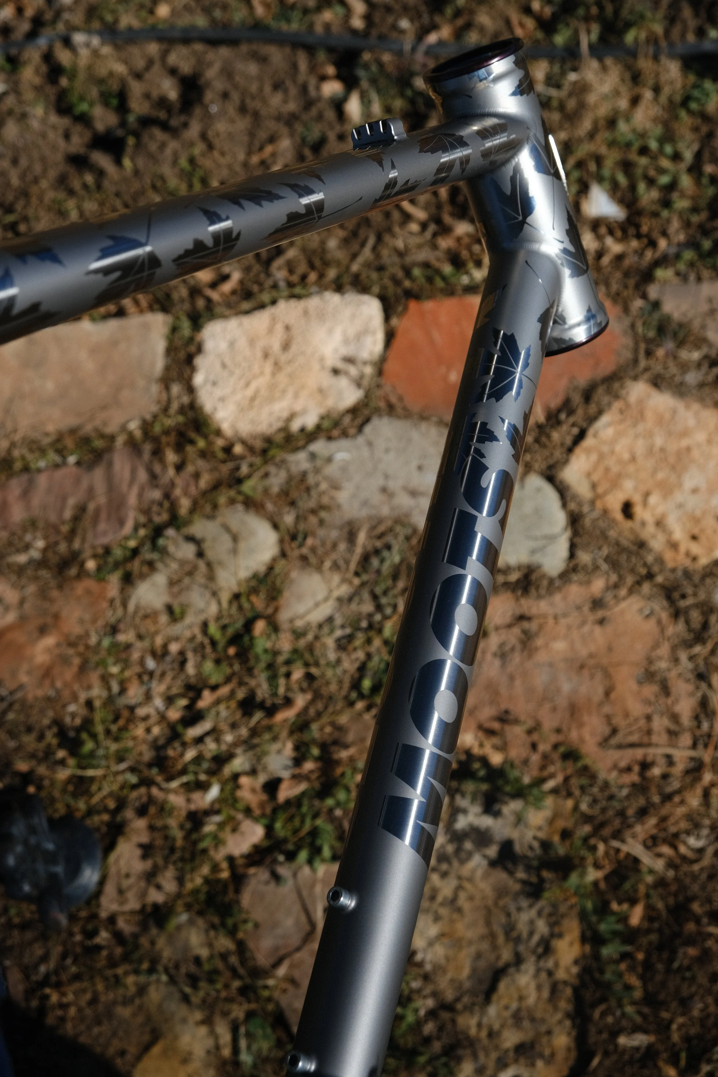 DSCF1572.JPG