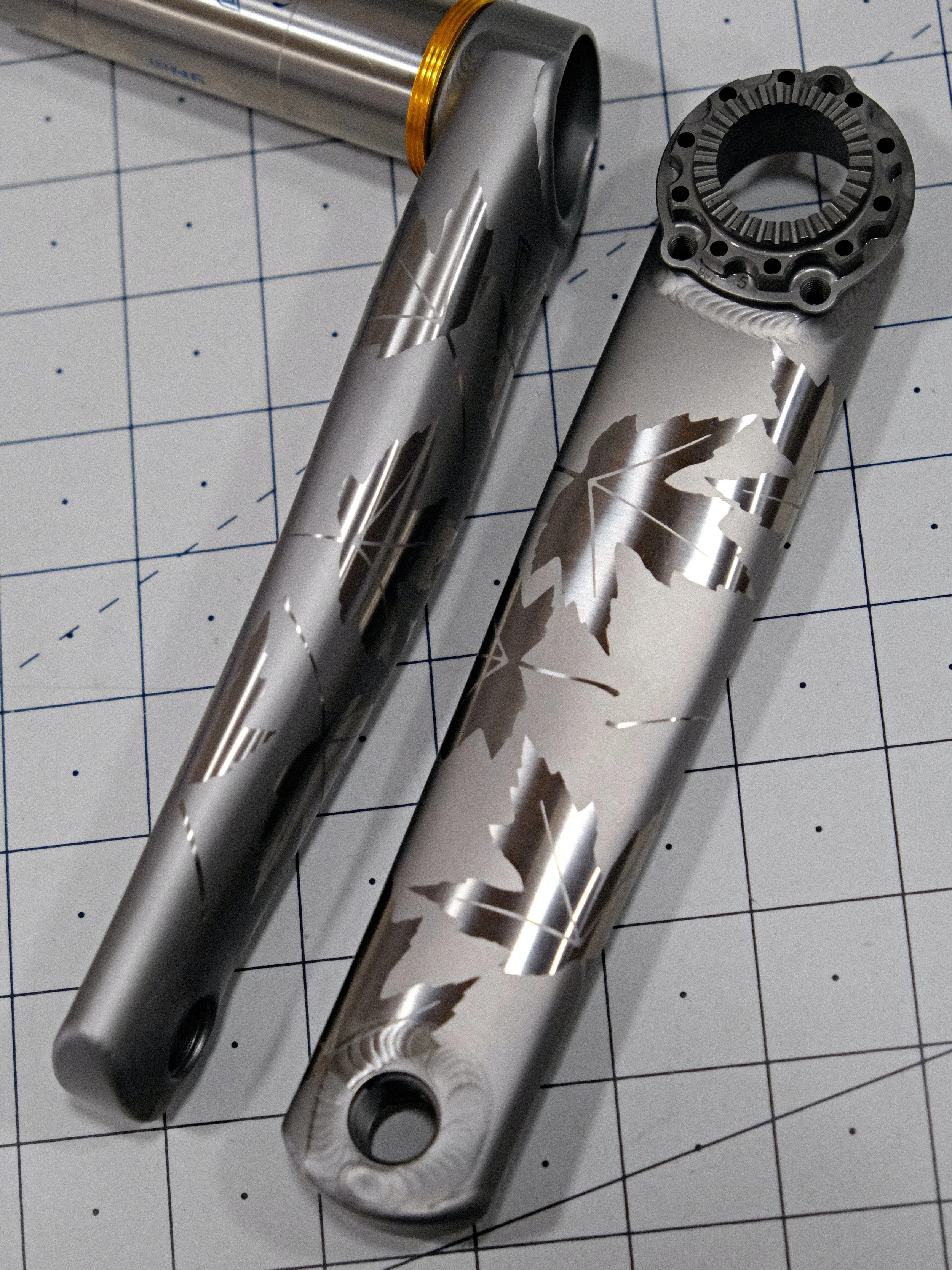 DSCF1577.JPG