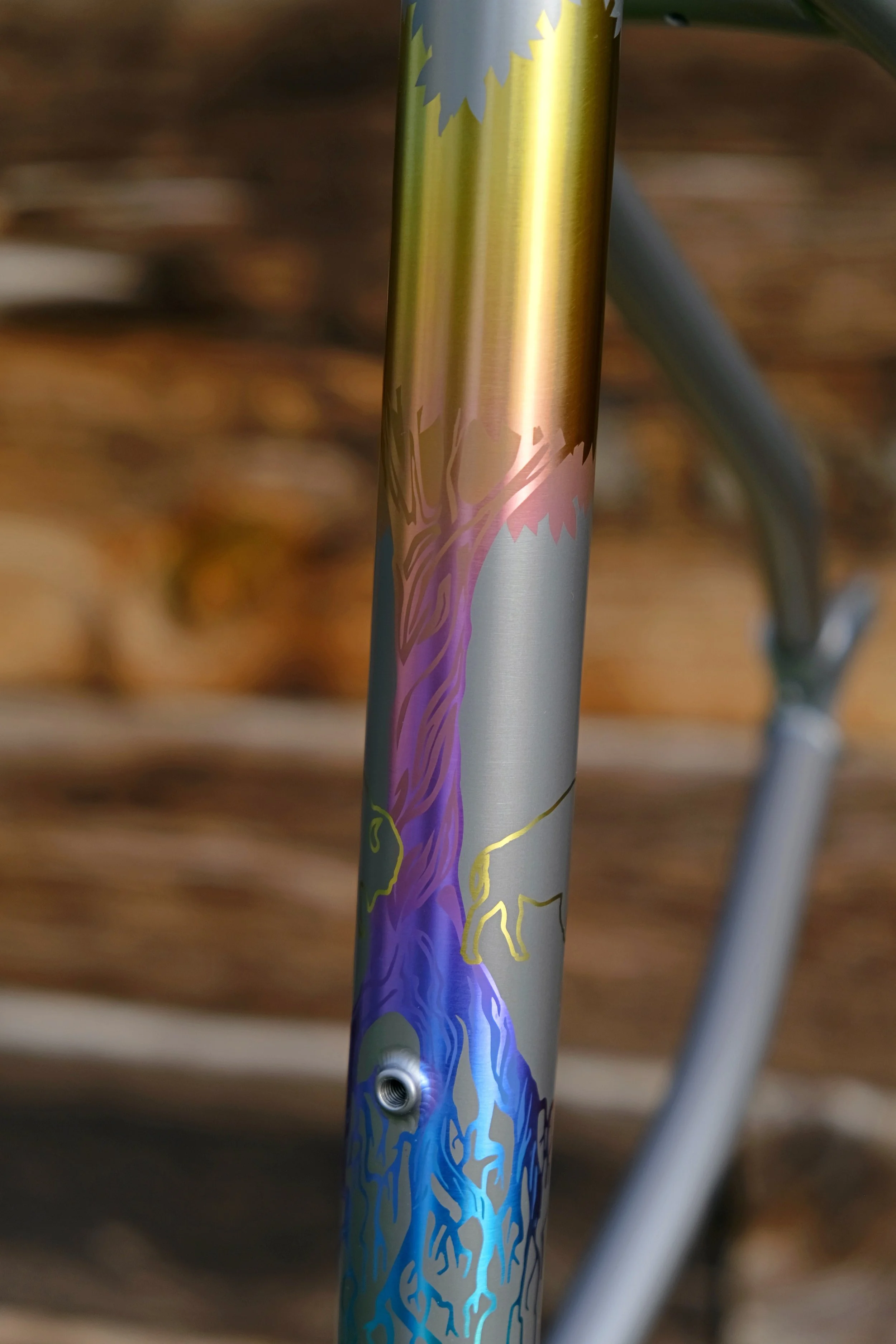 DSCF4950.JPG