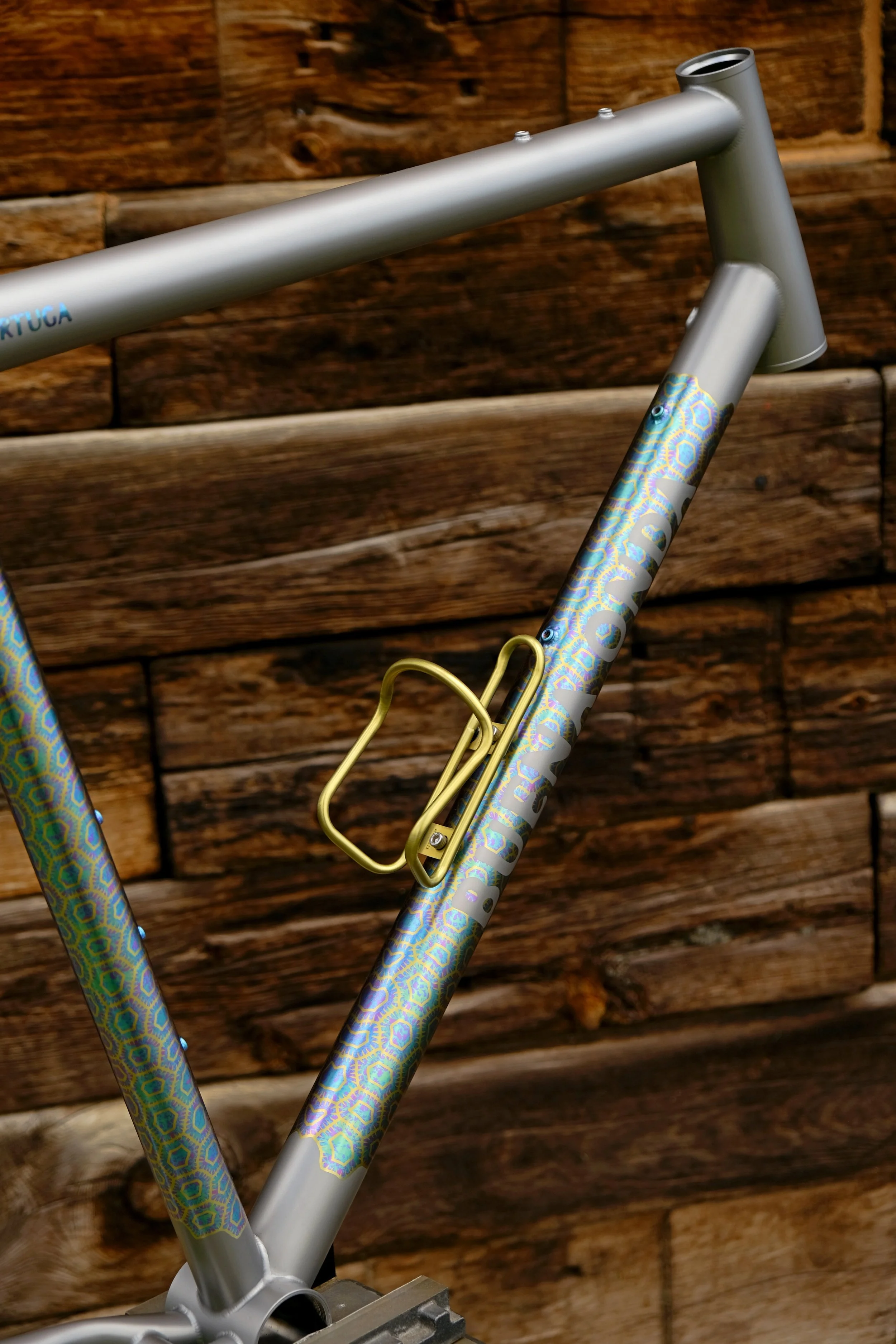 DSCF5194.JPG