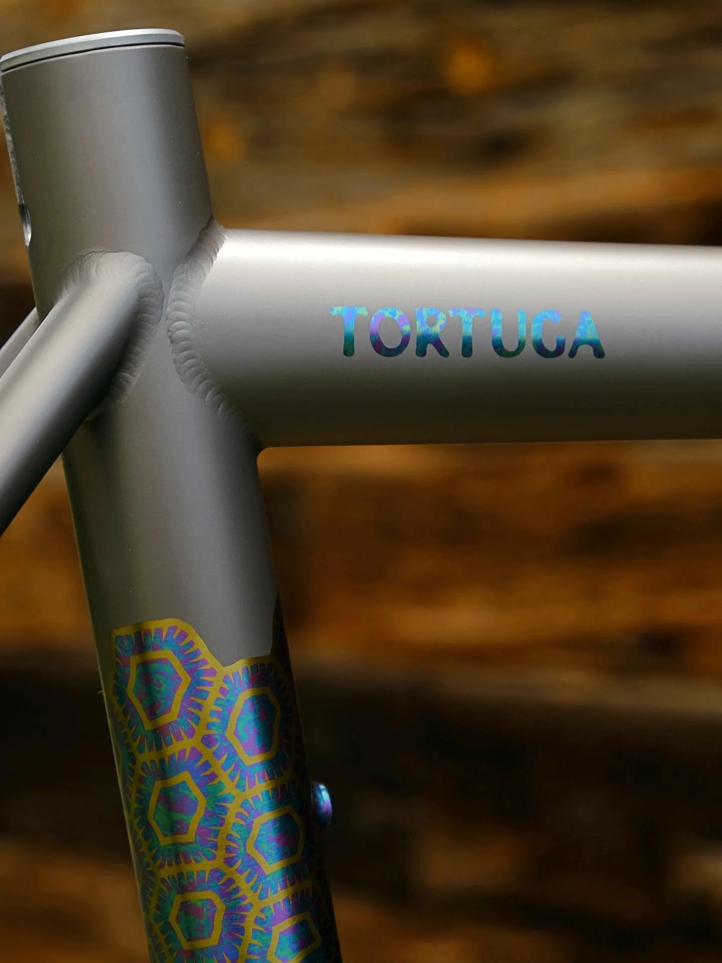 Brian&rsquo;s &ldquo;Tortuga&rdquo; Buena Onda.
.
.
.
#buenaonda #cycling #gravelbike #roadbike #mountainbike #madeinusa #domesticbikes #tortuga #tortoise #turtle #turtleshell #titaniumanodizing #titanium #anodizing #colorado