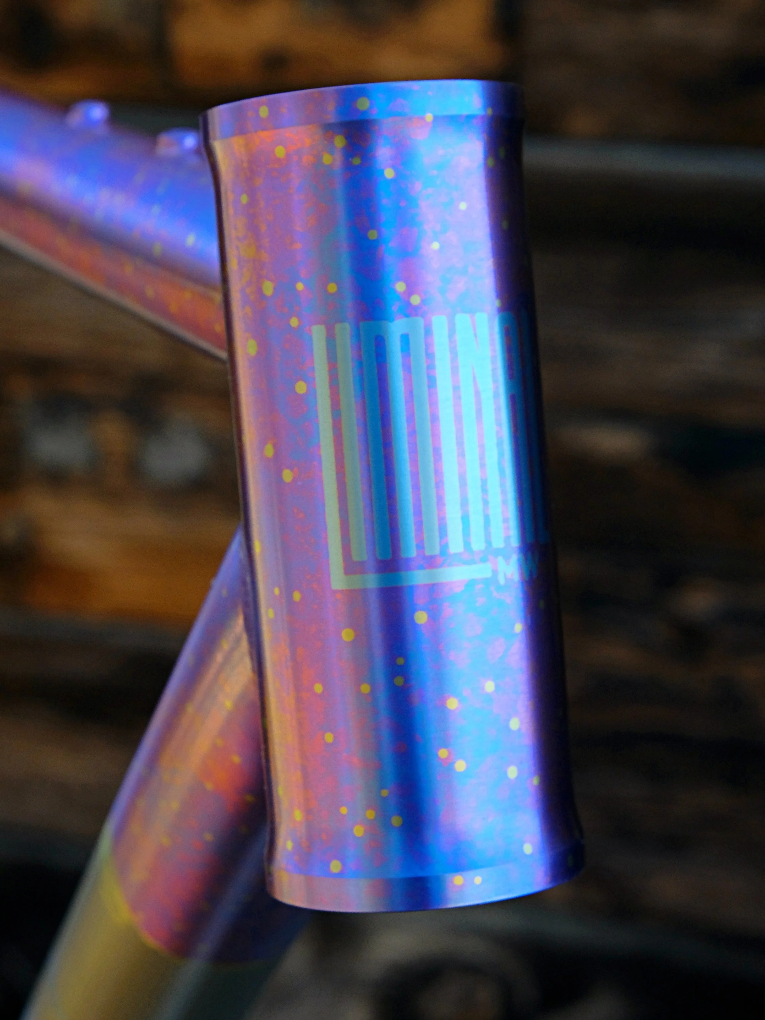 DSCF7584.JPG