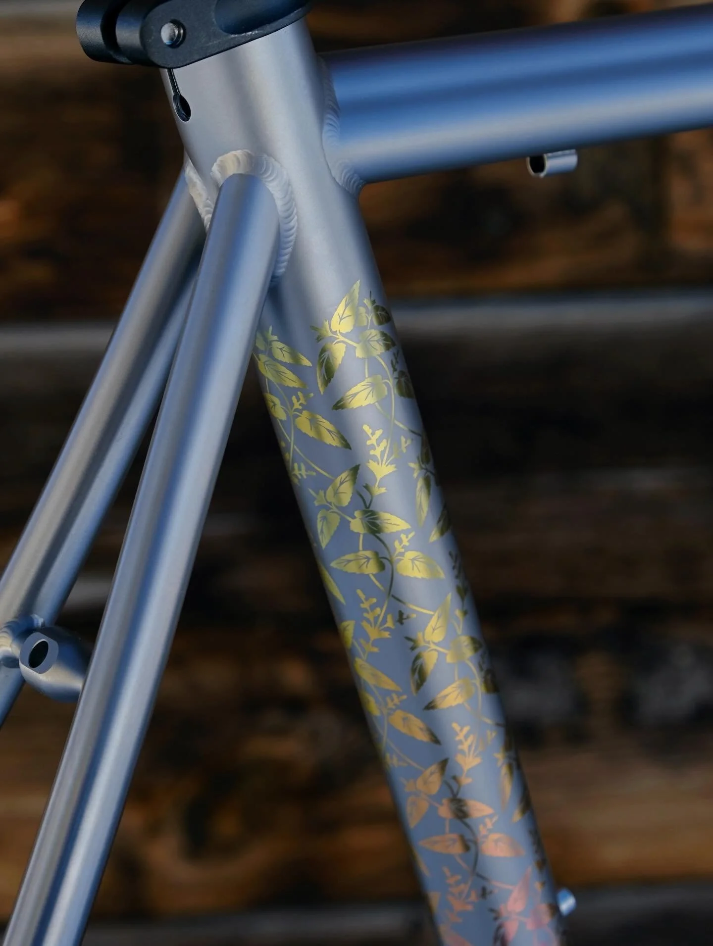 ⚠️ Stinging Nettles ⚠️