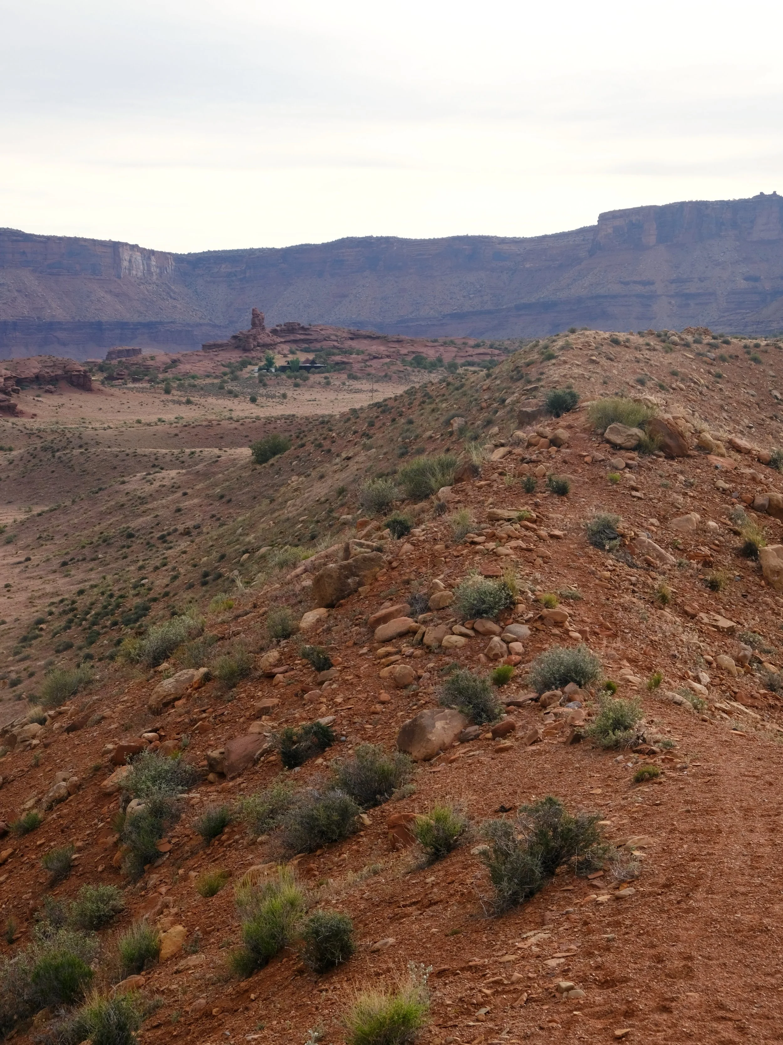 DSCF2687.JPG