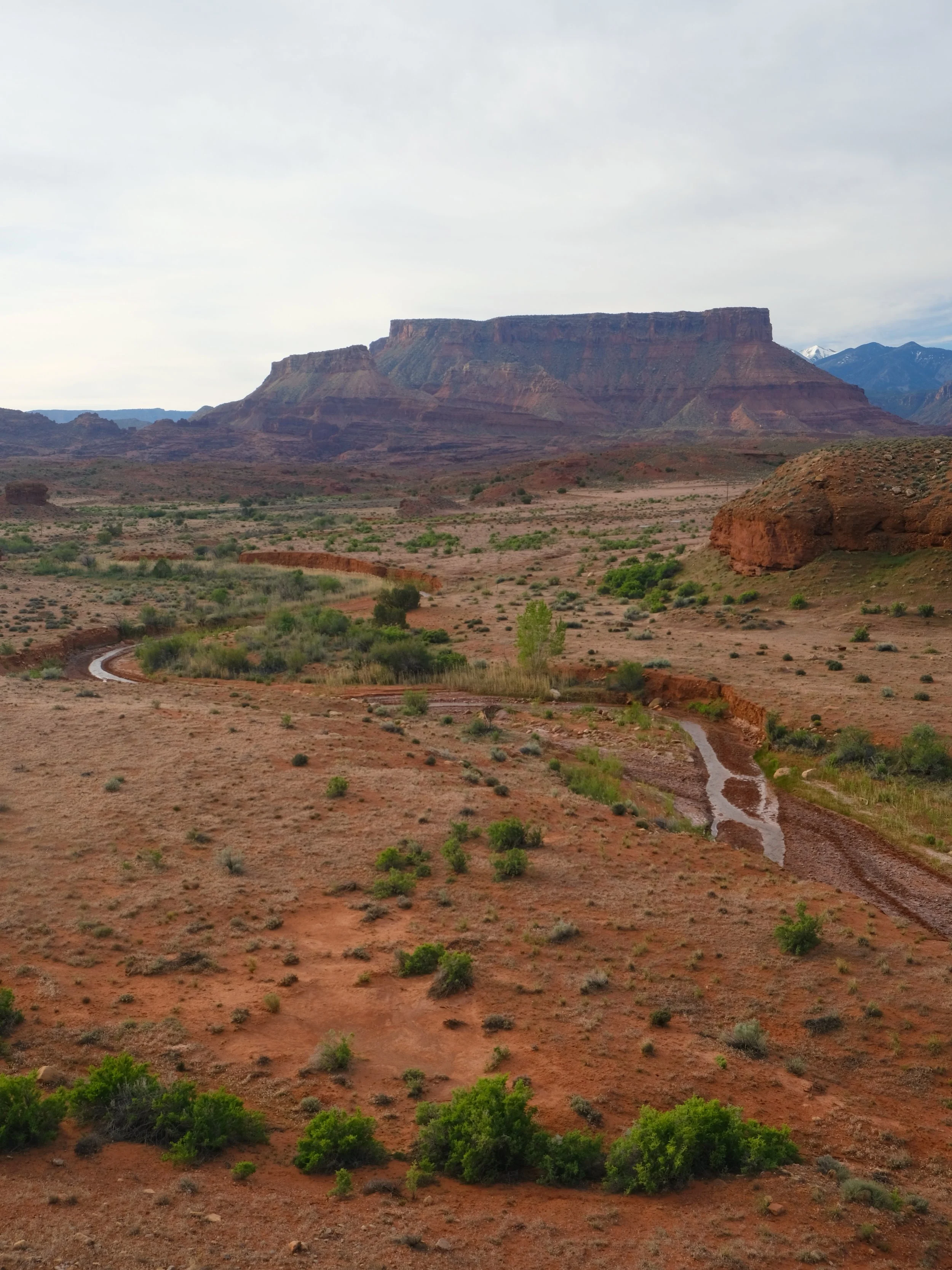 DSCF2688.JPG