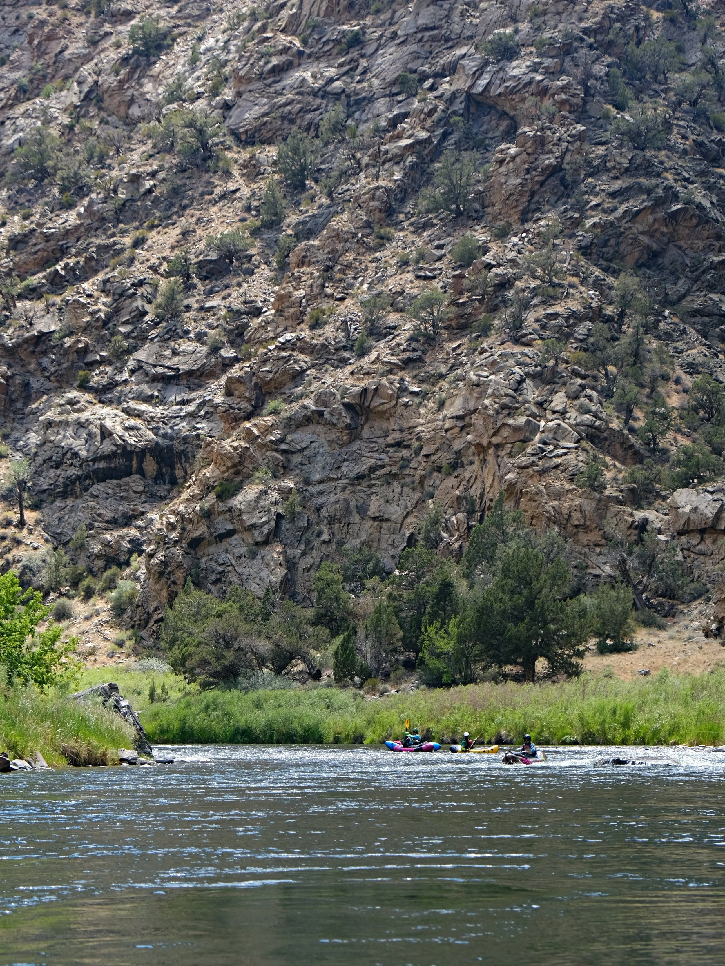 DSCF3459.JPG