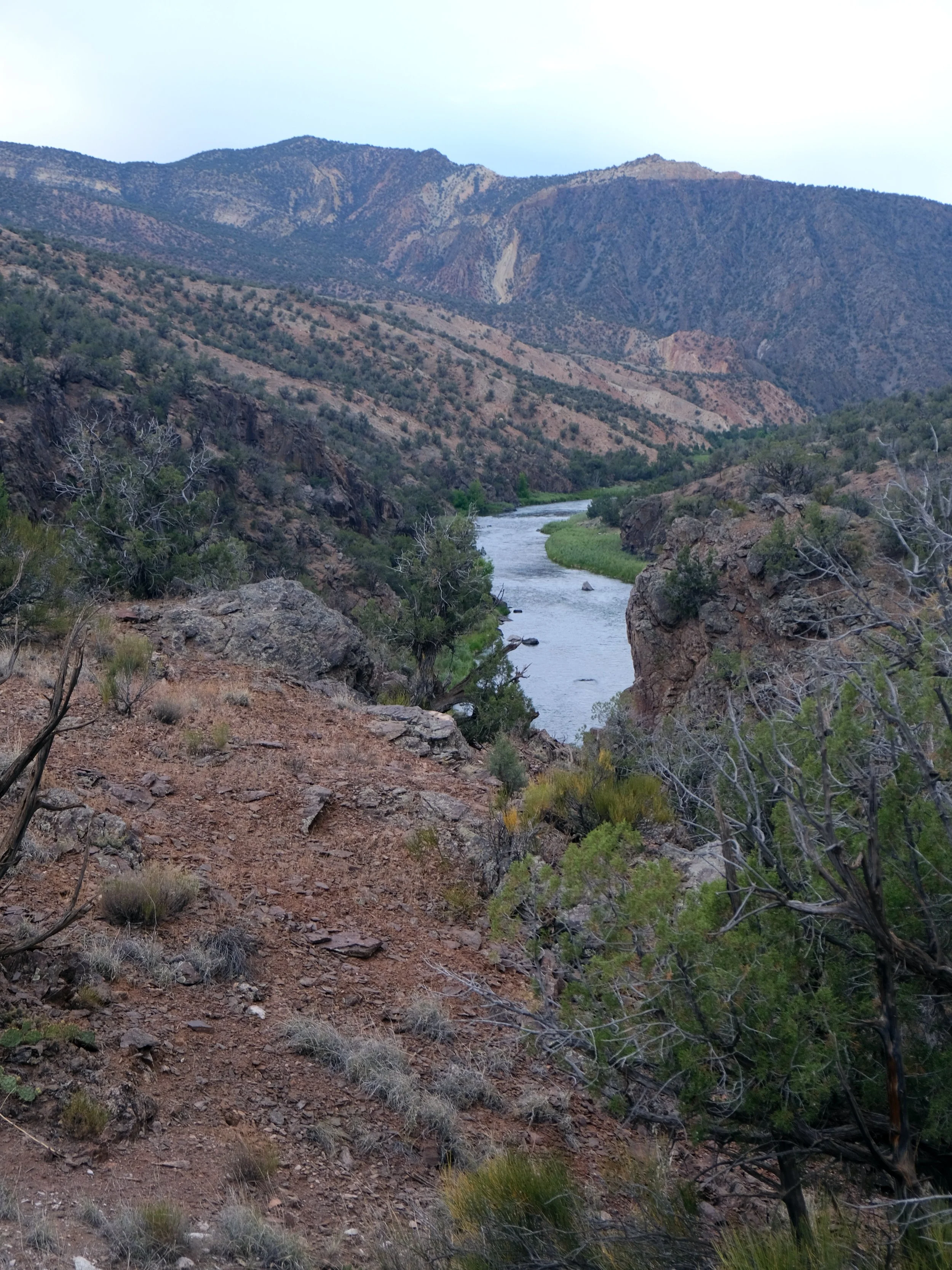 DSCF3474.JPG