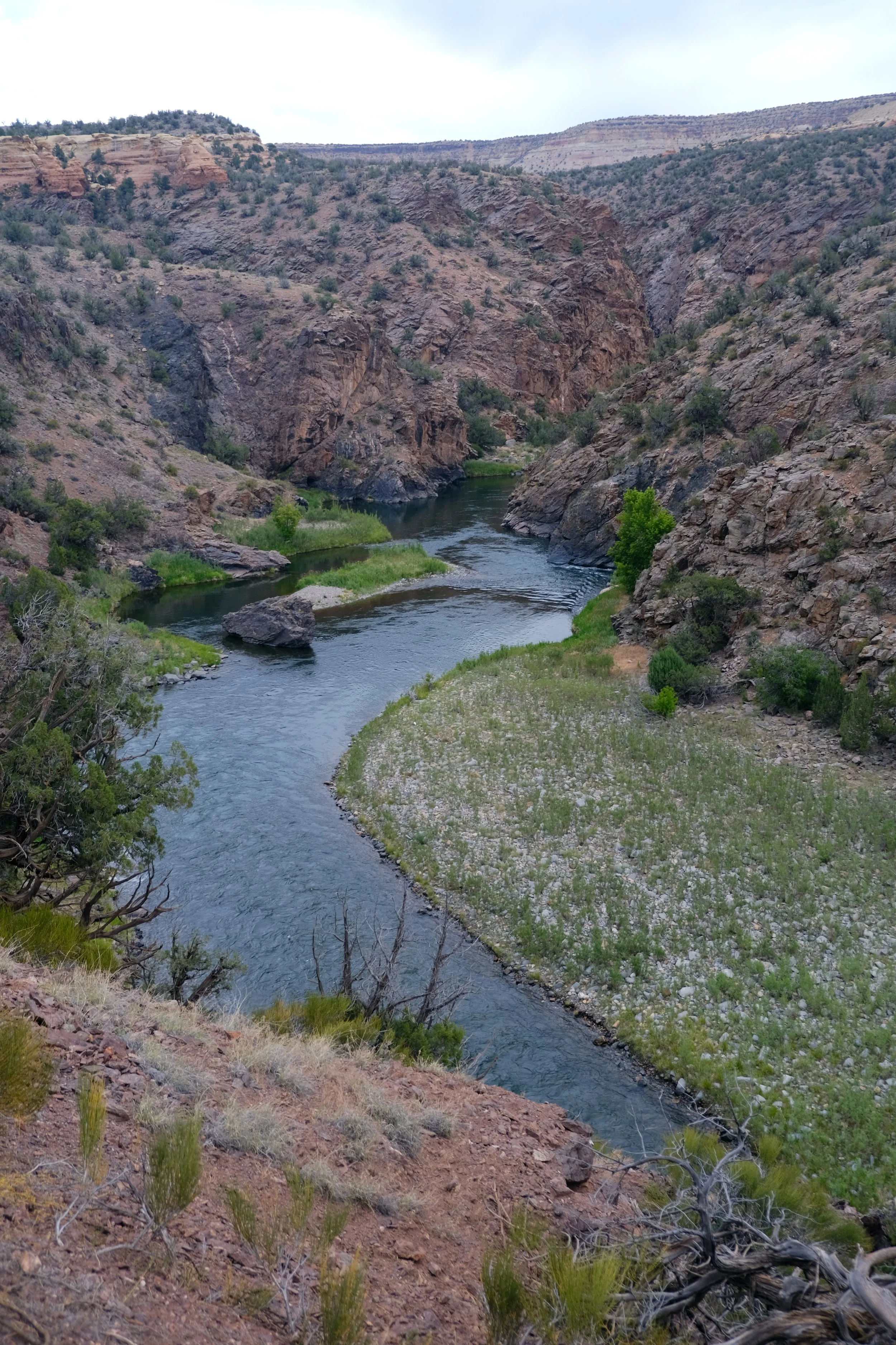 DSCF3470.JPG