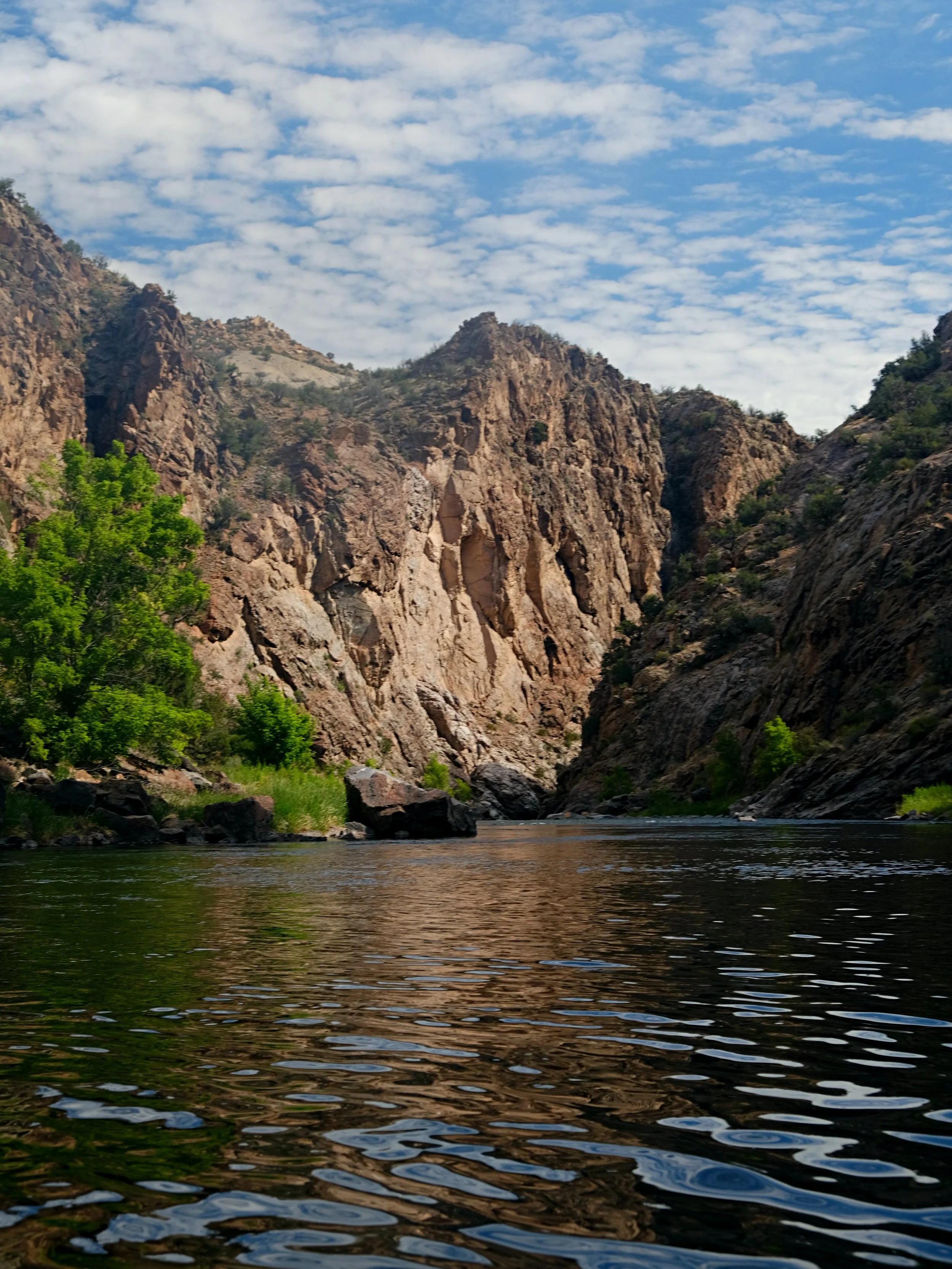 DSCF3513.JPG