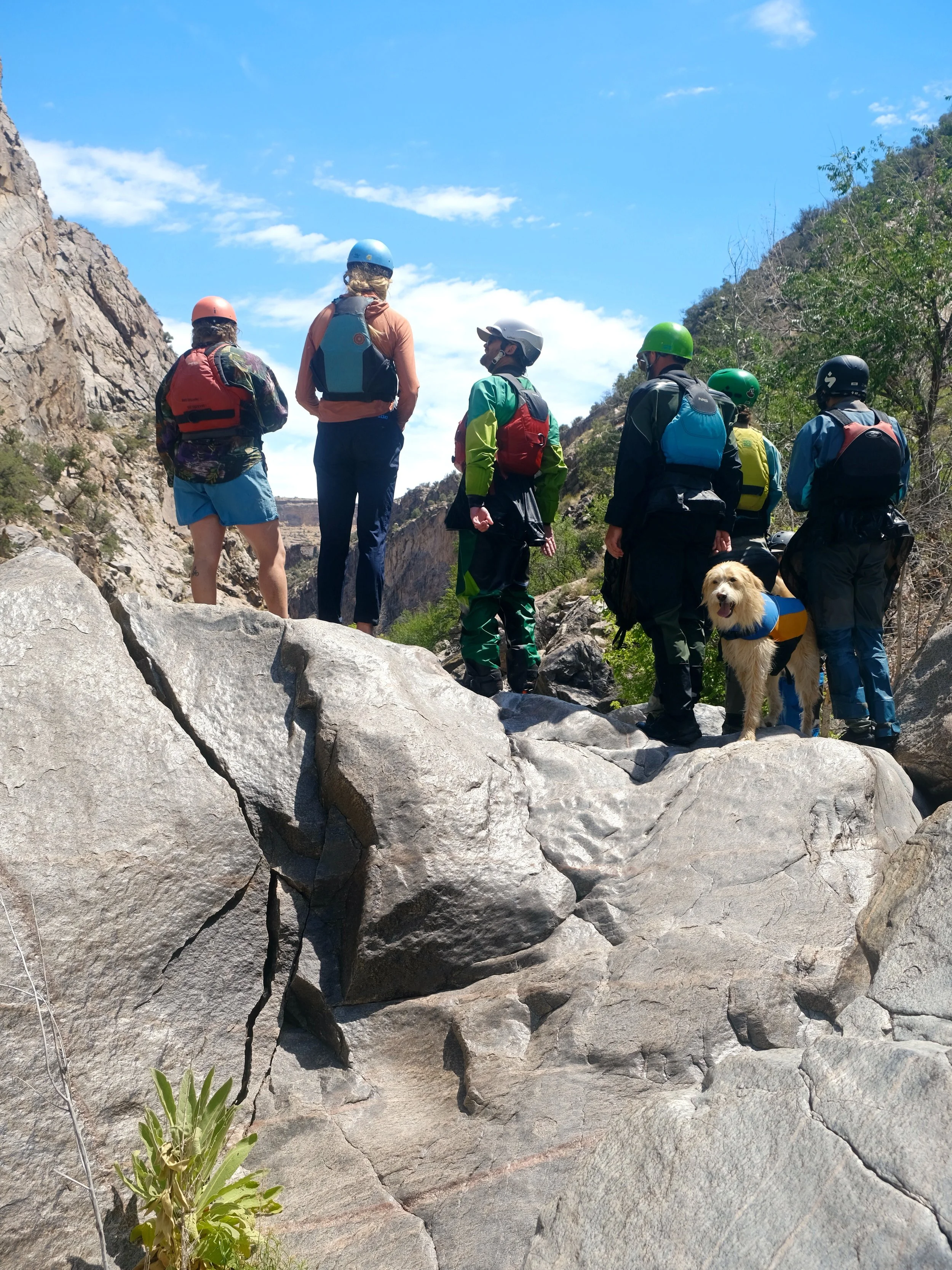 DSCF3572.JPG