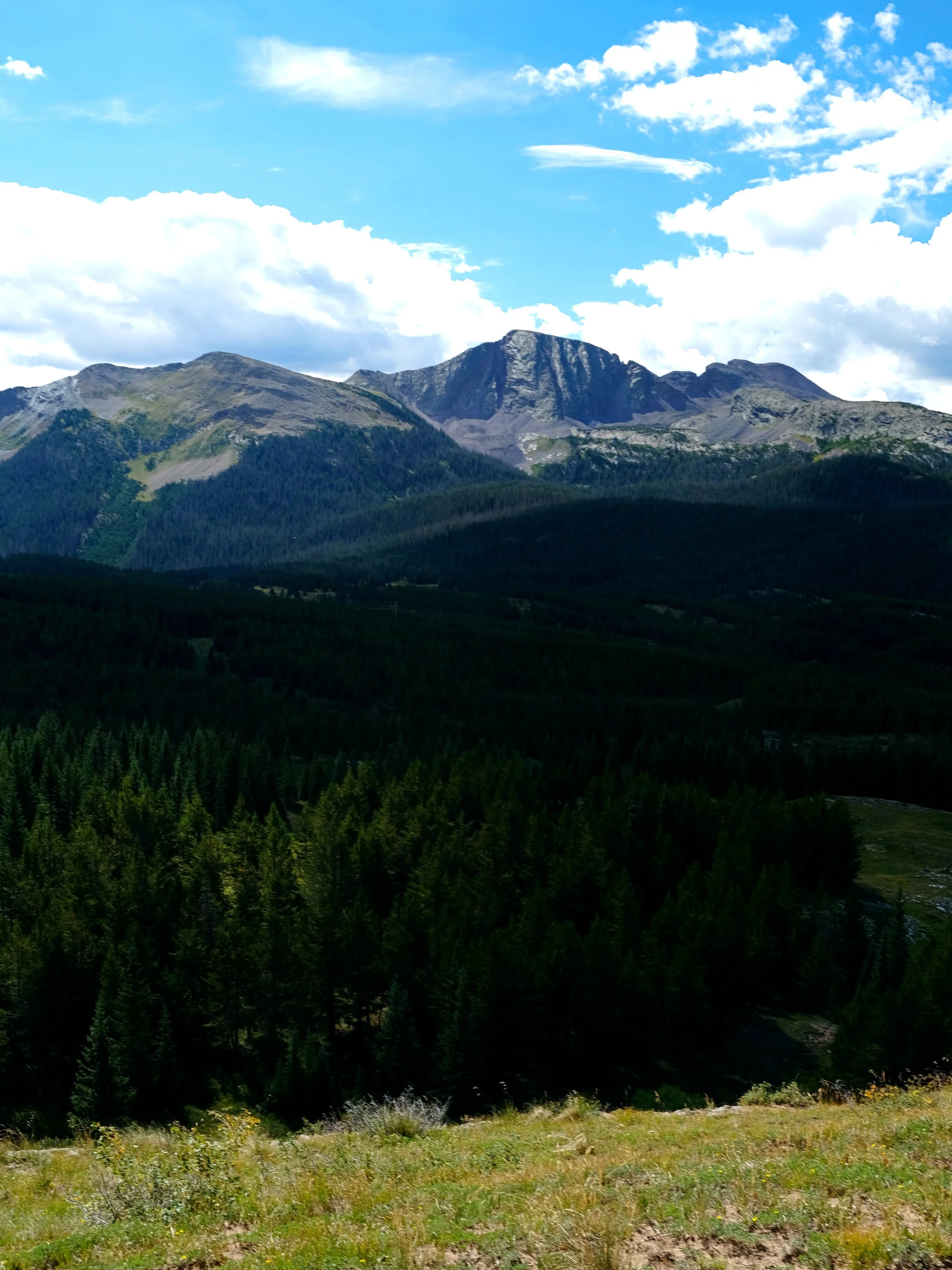 DSCF6043.JPG