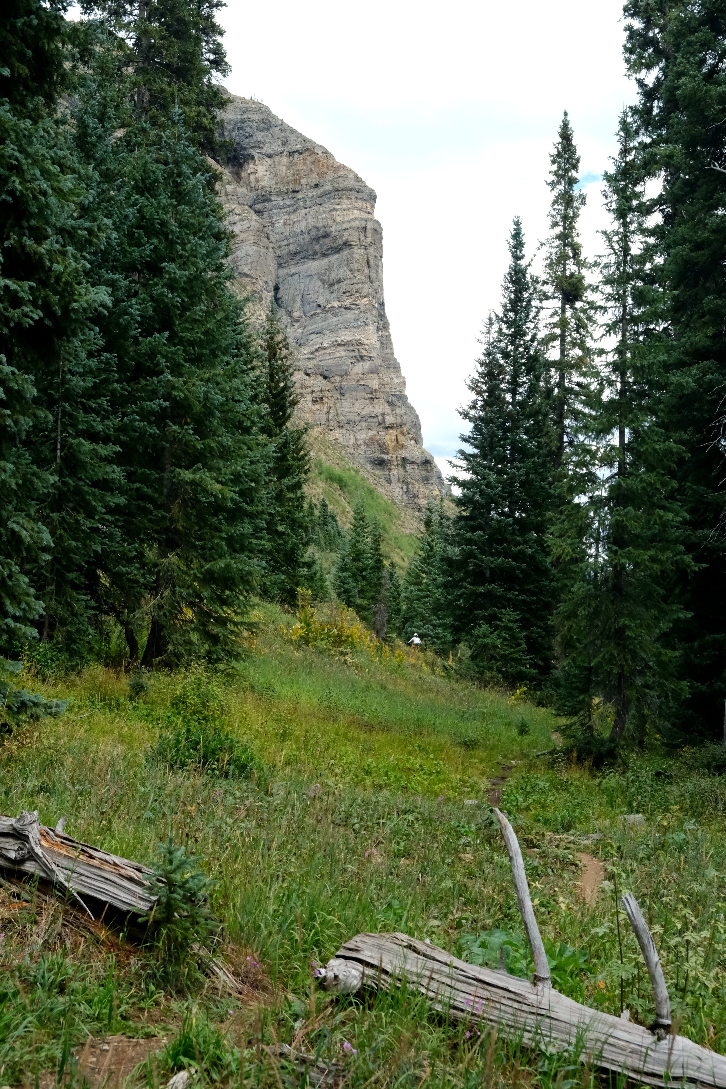 DSCF6091.JPG