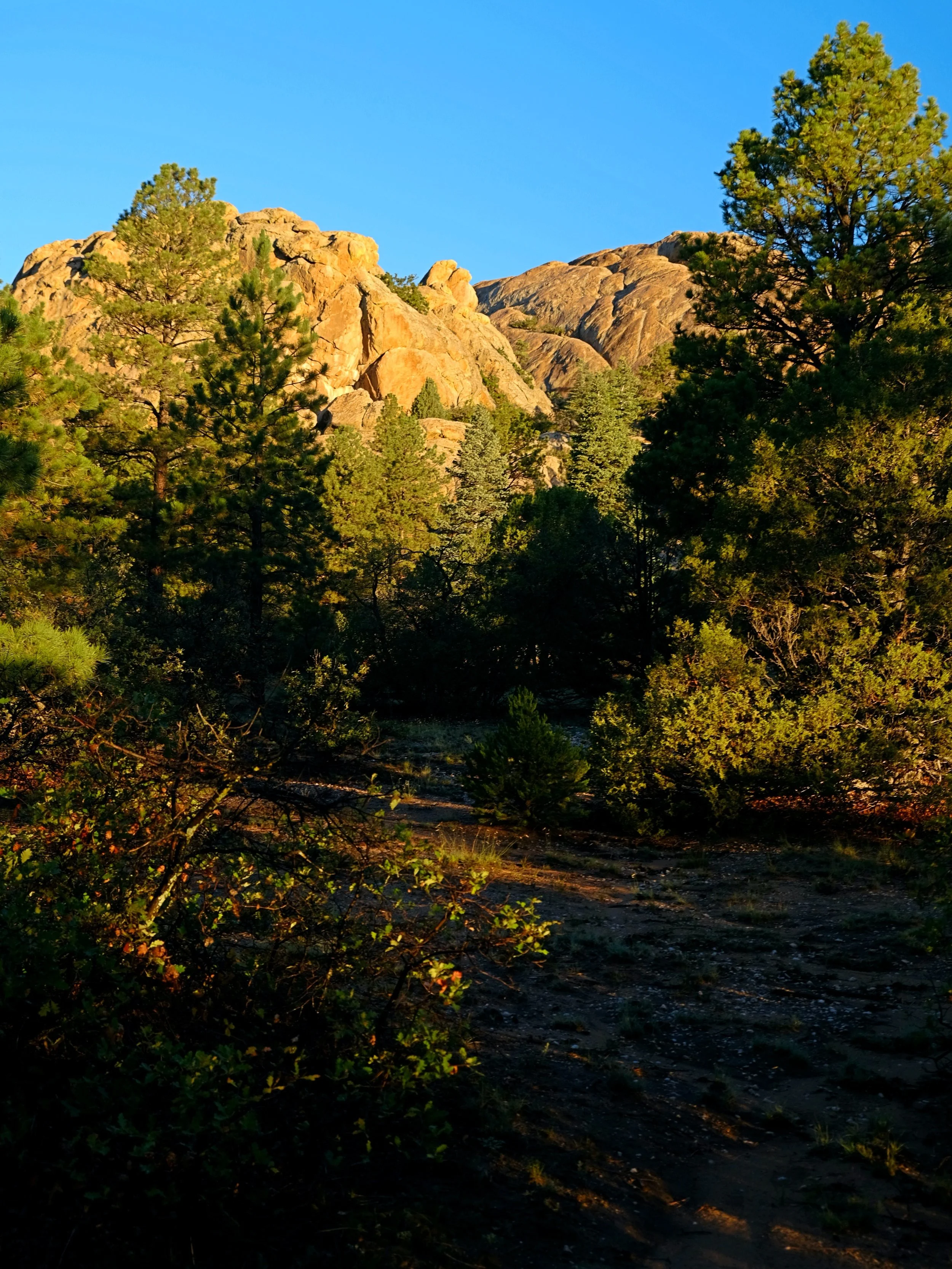 DSCF6579.JPG