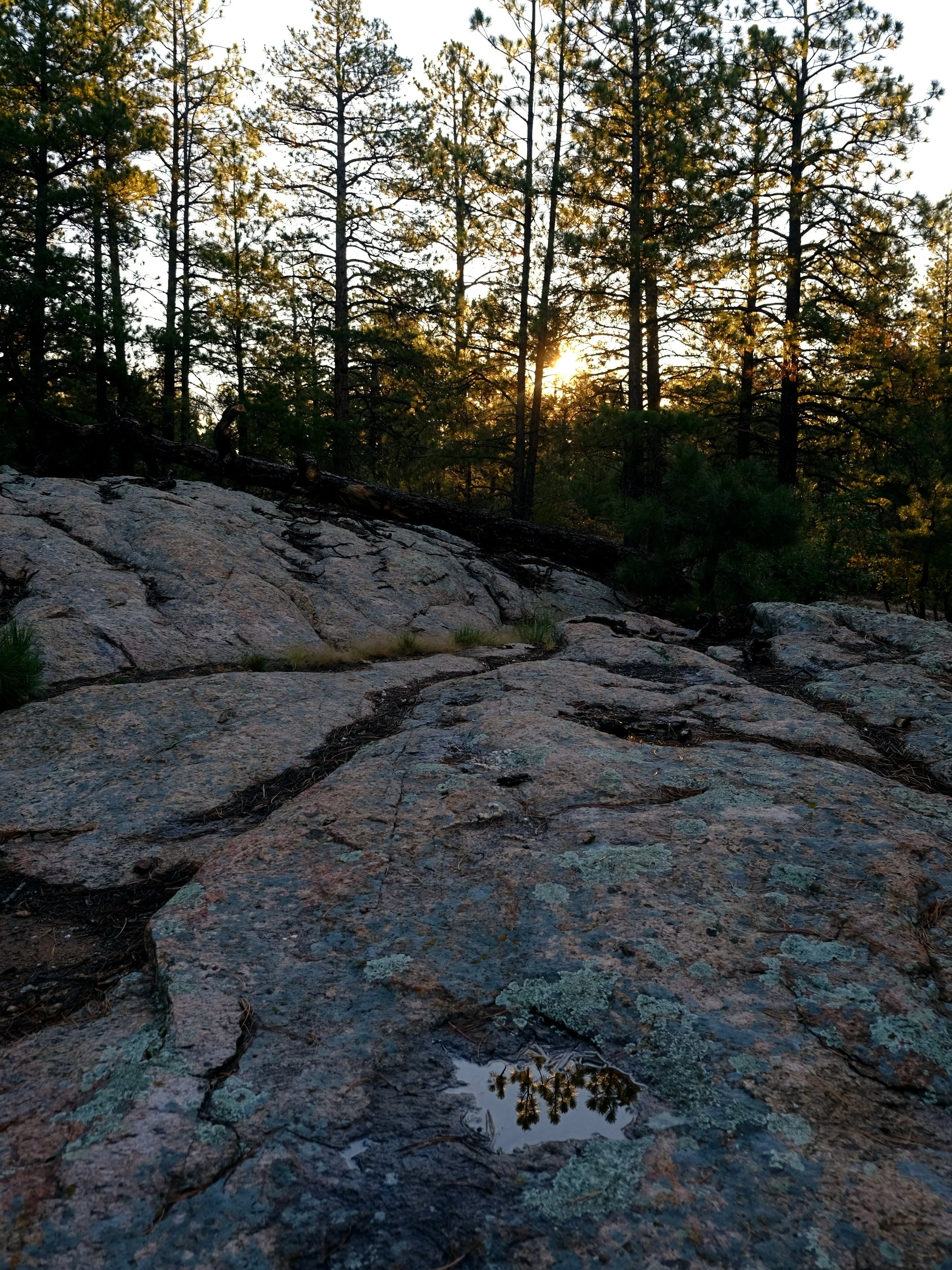 DSCF6581.JPG