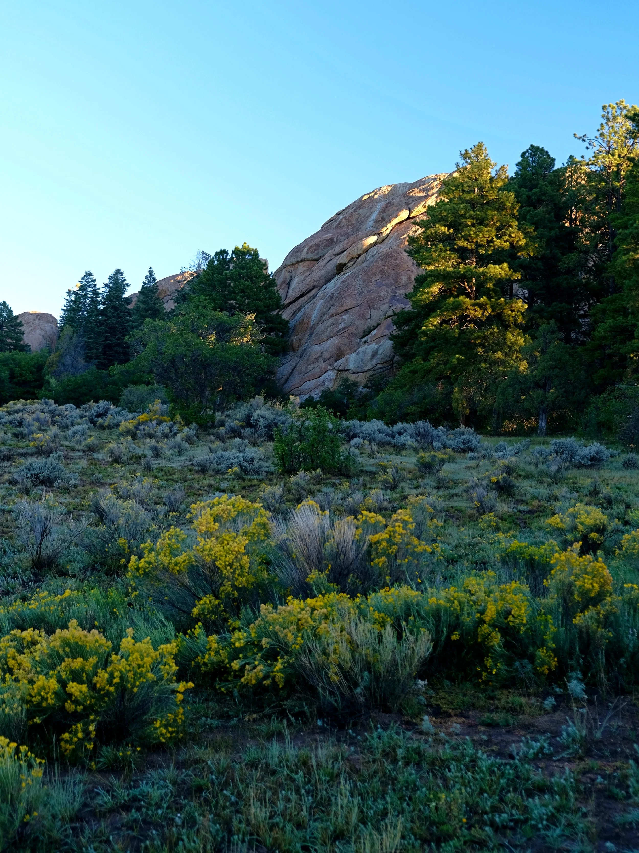 DSCF6586.JPG