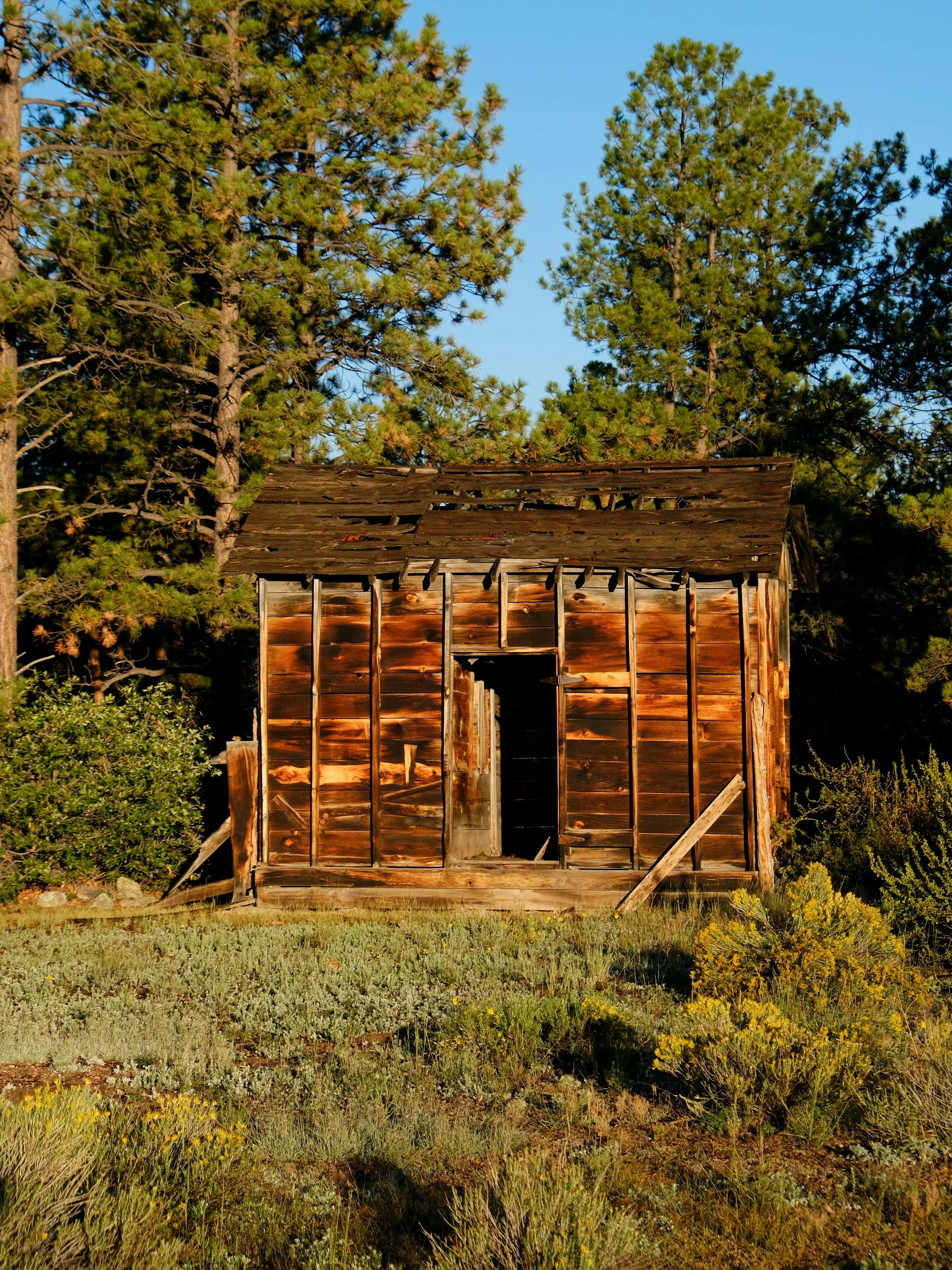 DSCF6587.JPG