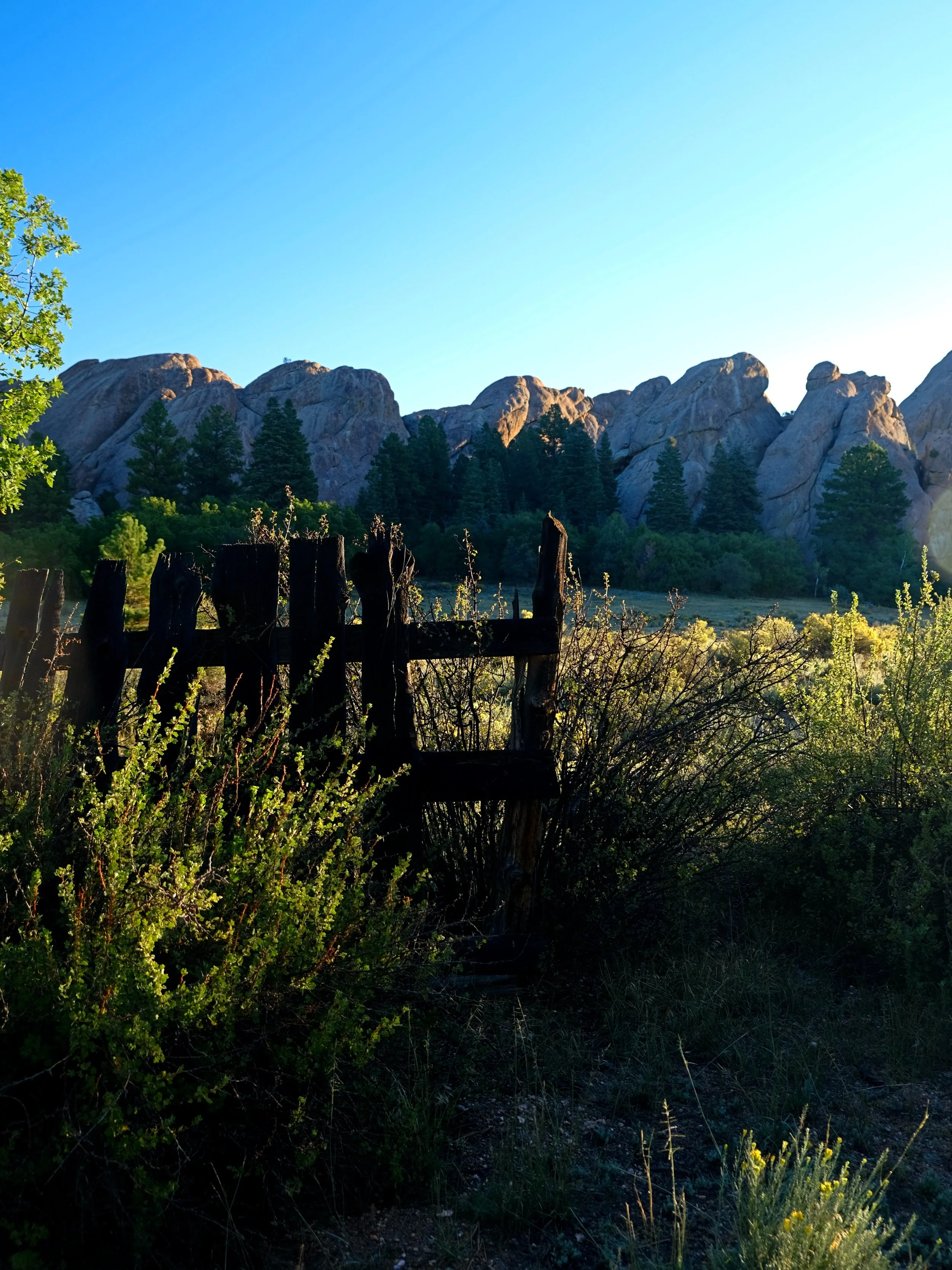 DSCF6591.JPG