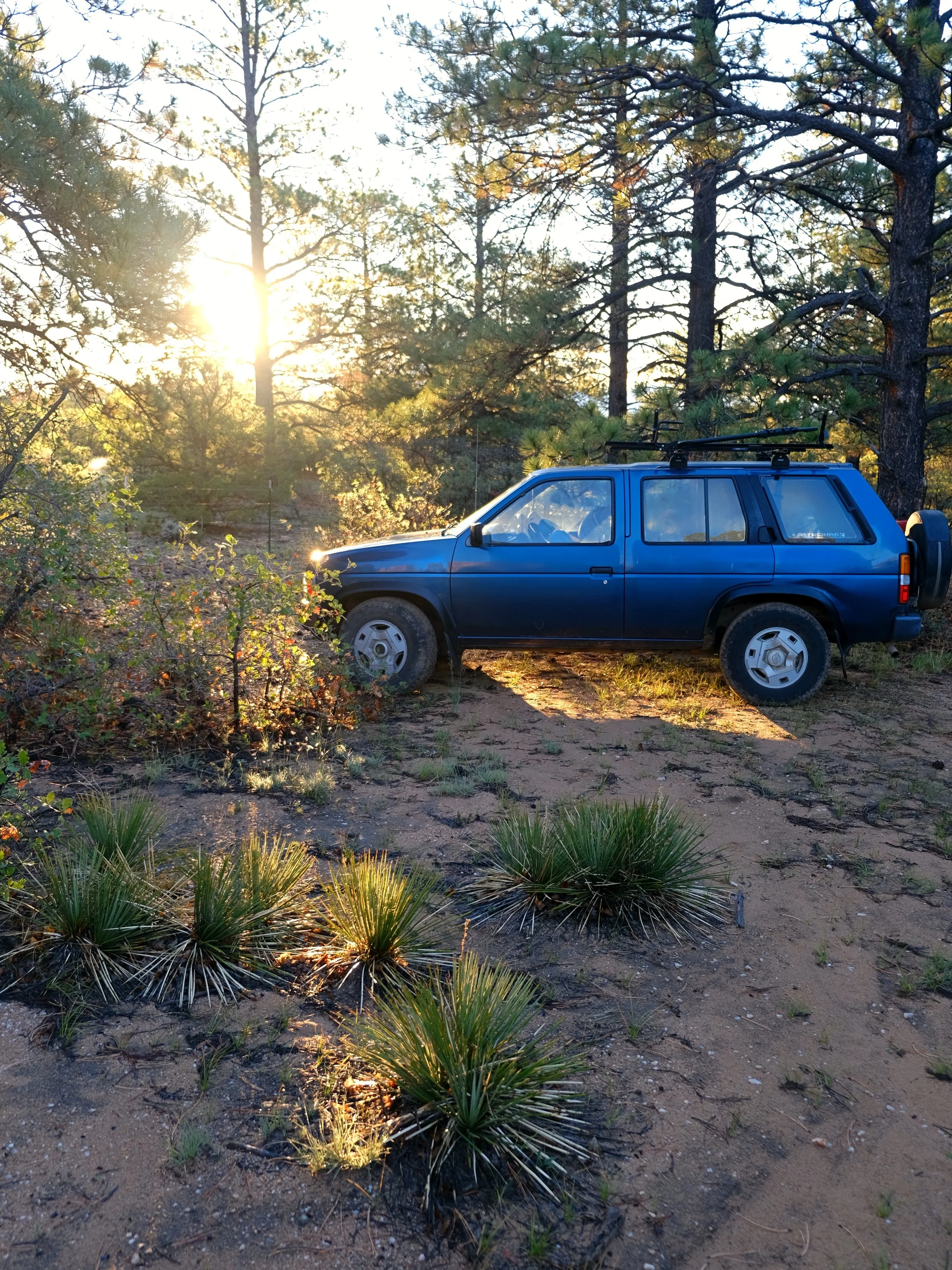 DSCF6580.JPG