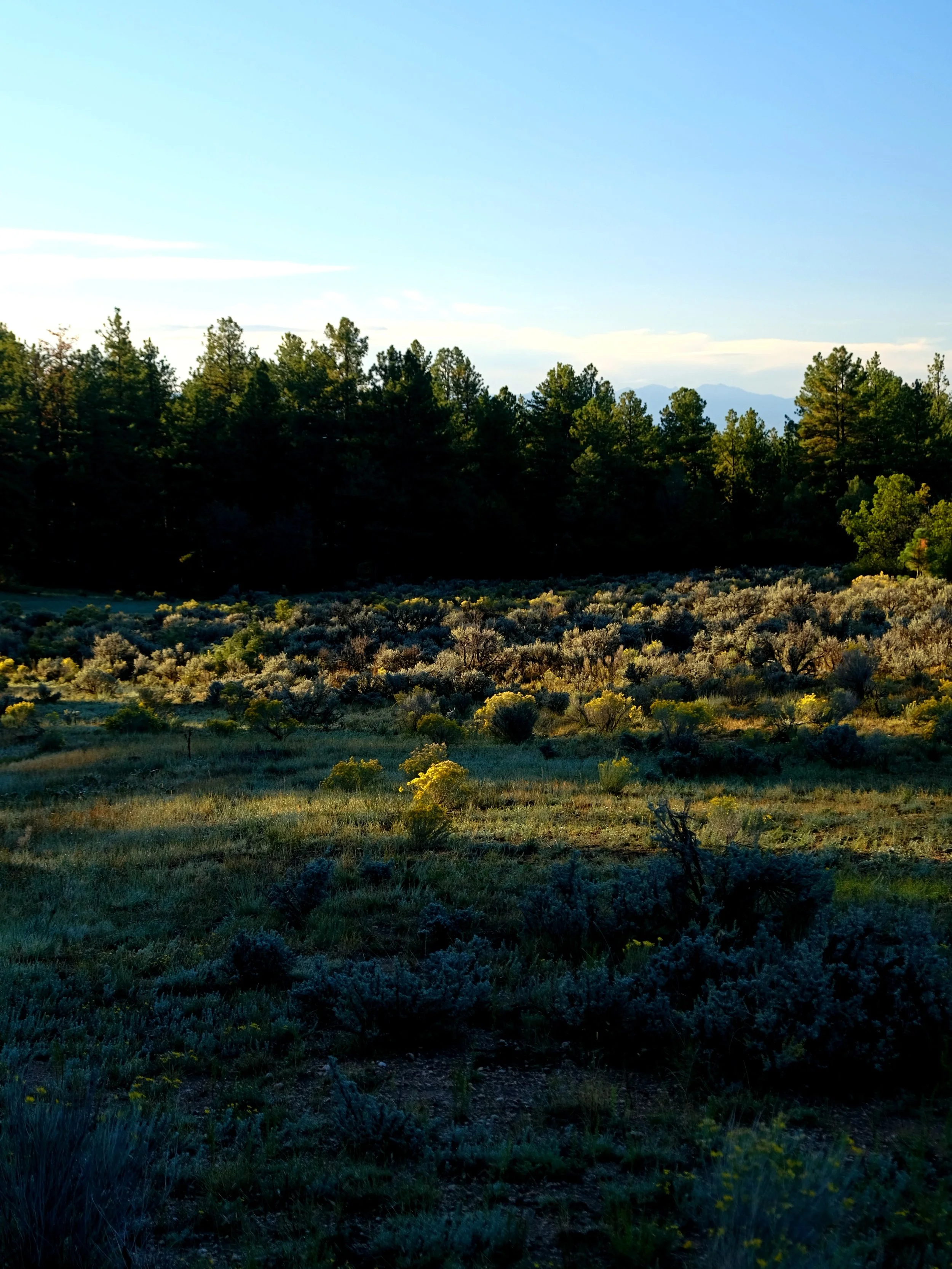 DSCF6597.JPG