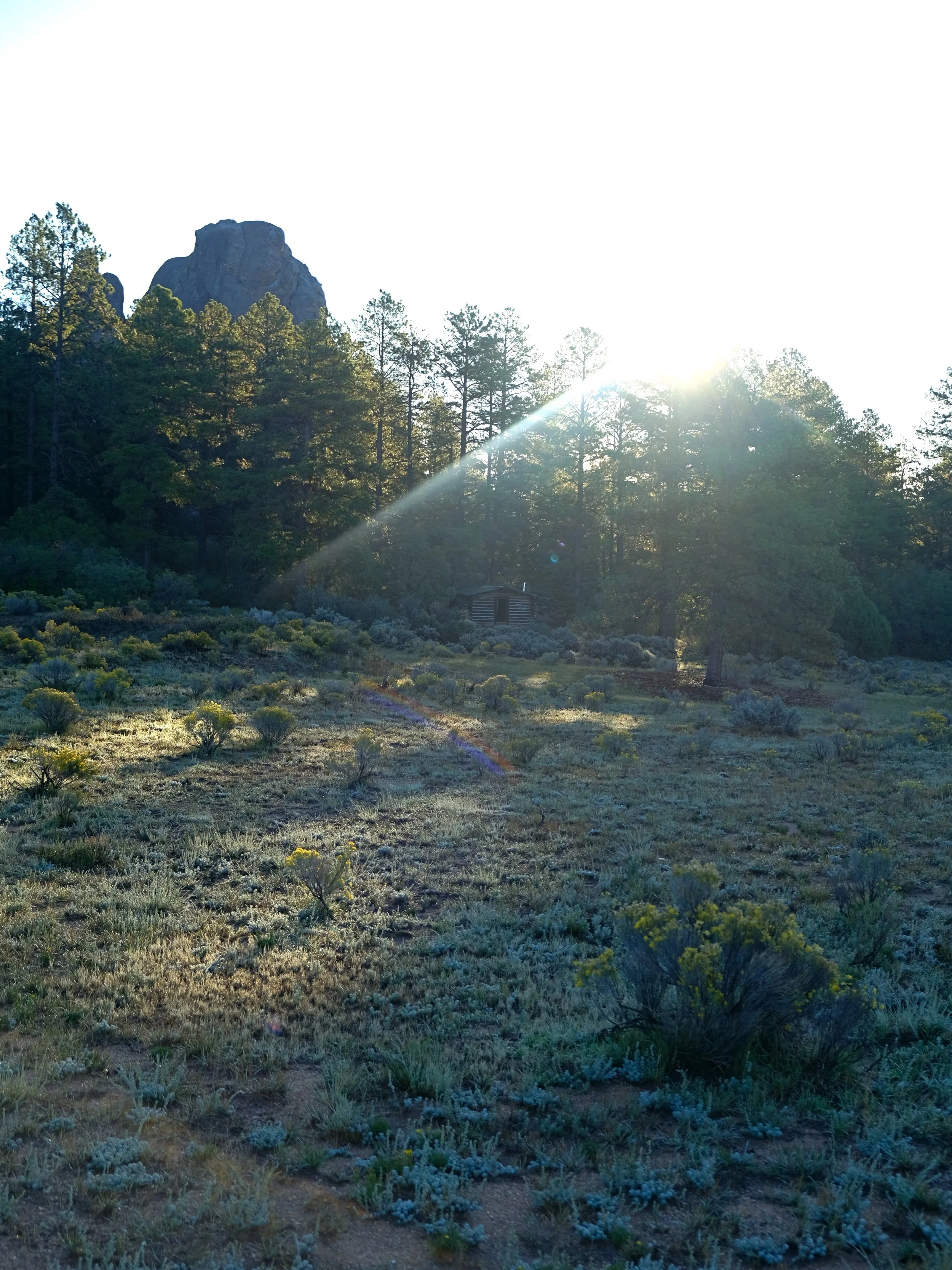 DSCF6595.JPG