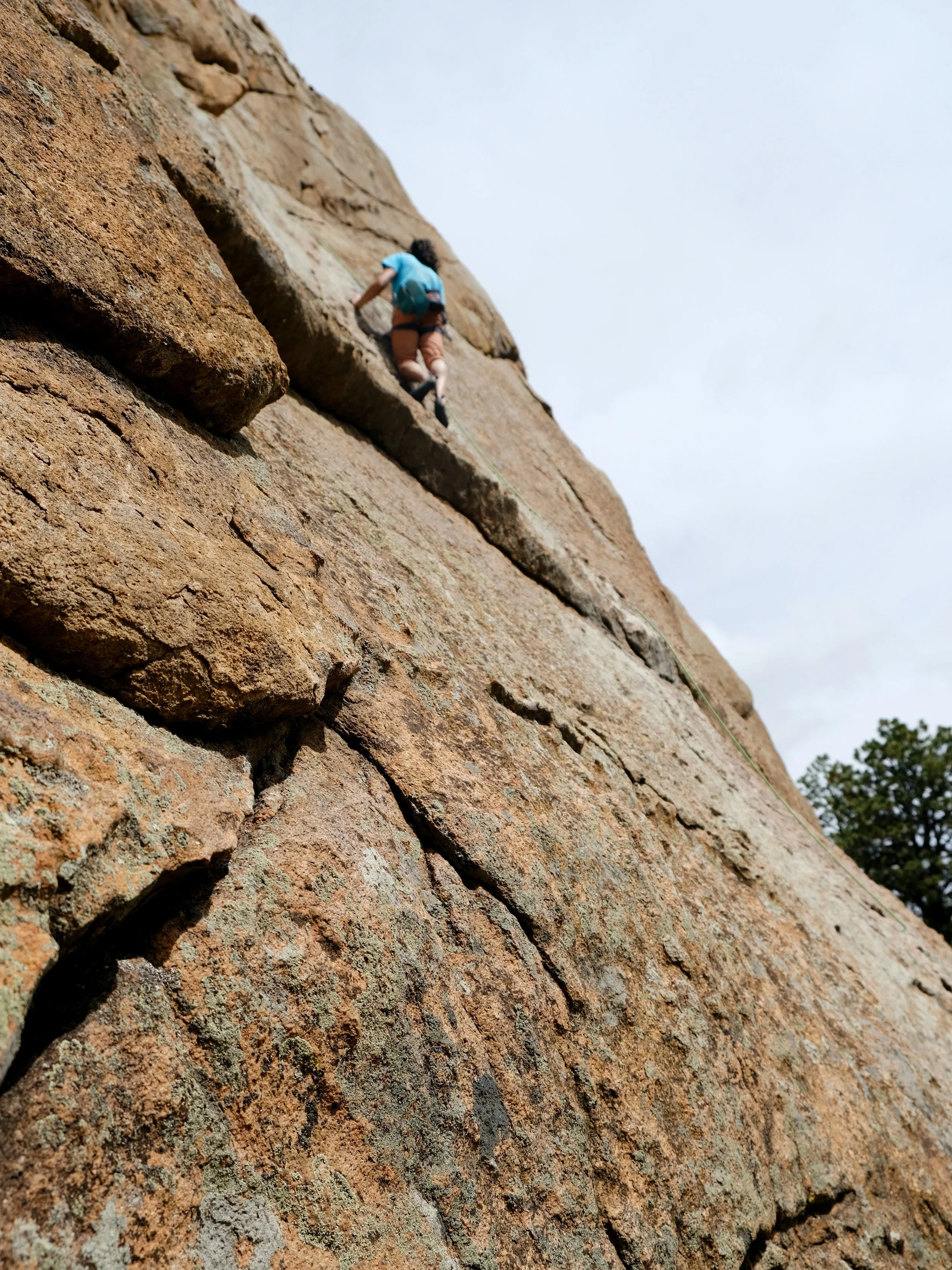 DSCF6638.JPG
