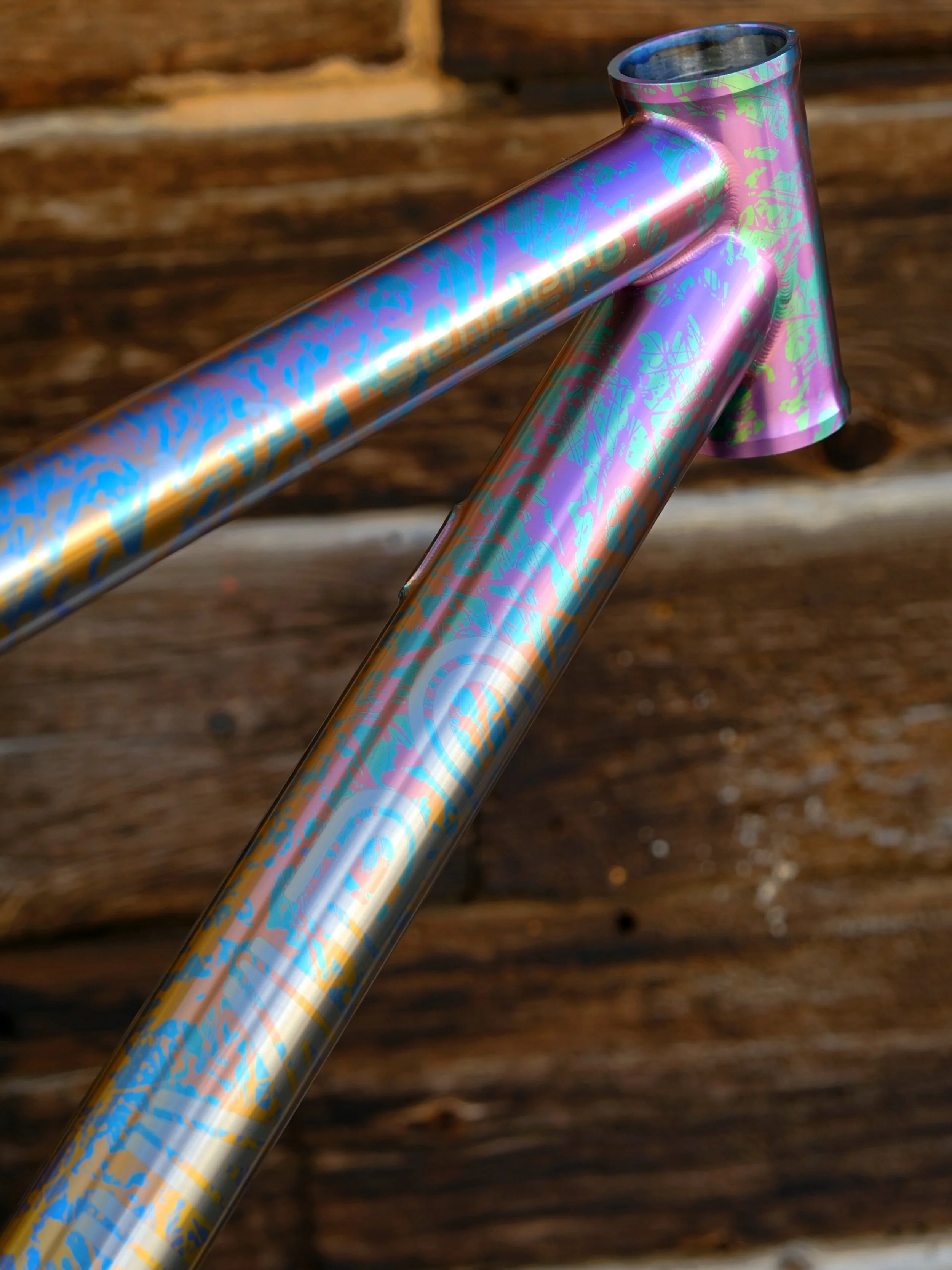 DSCF6740.JPG