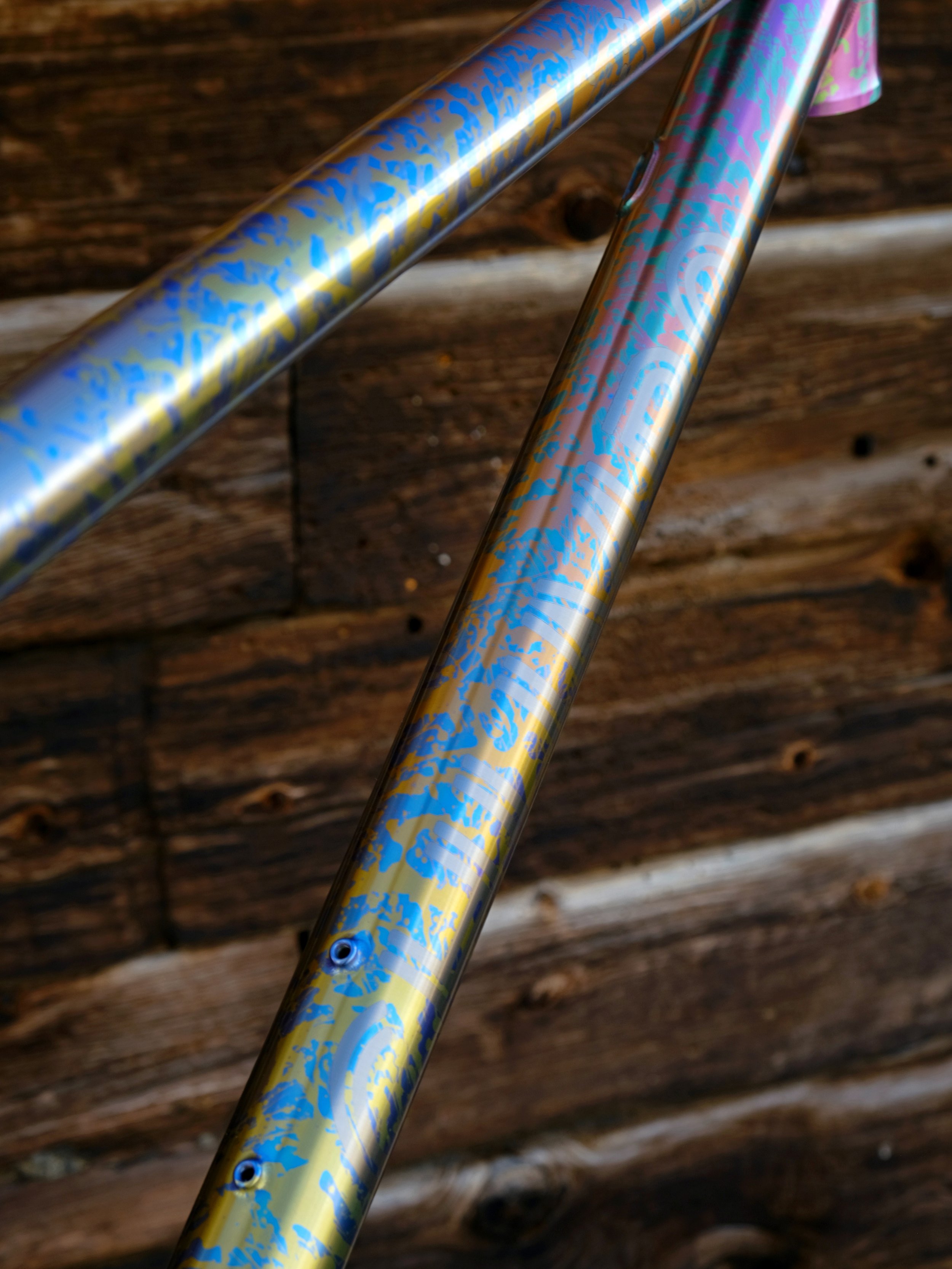 DSCF6741.JPG