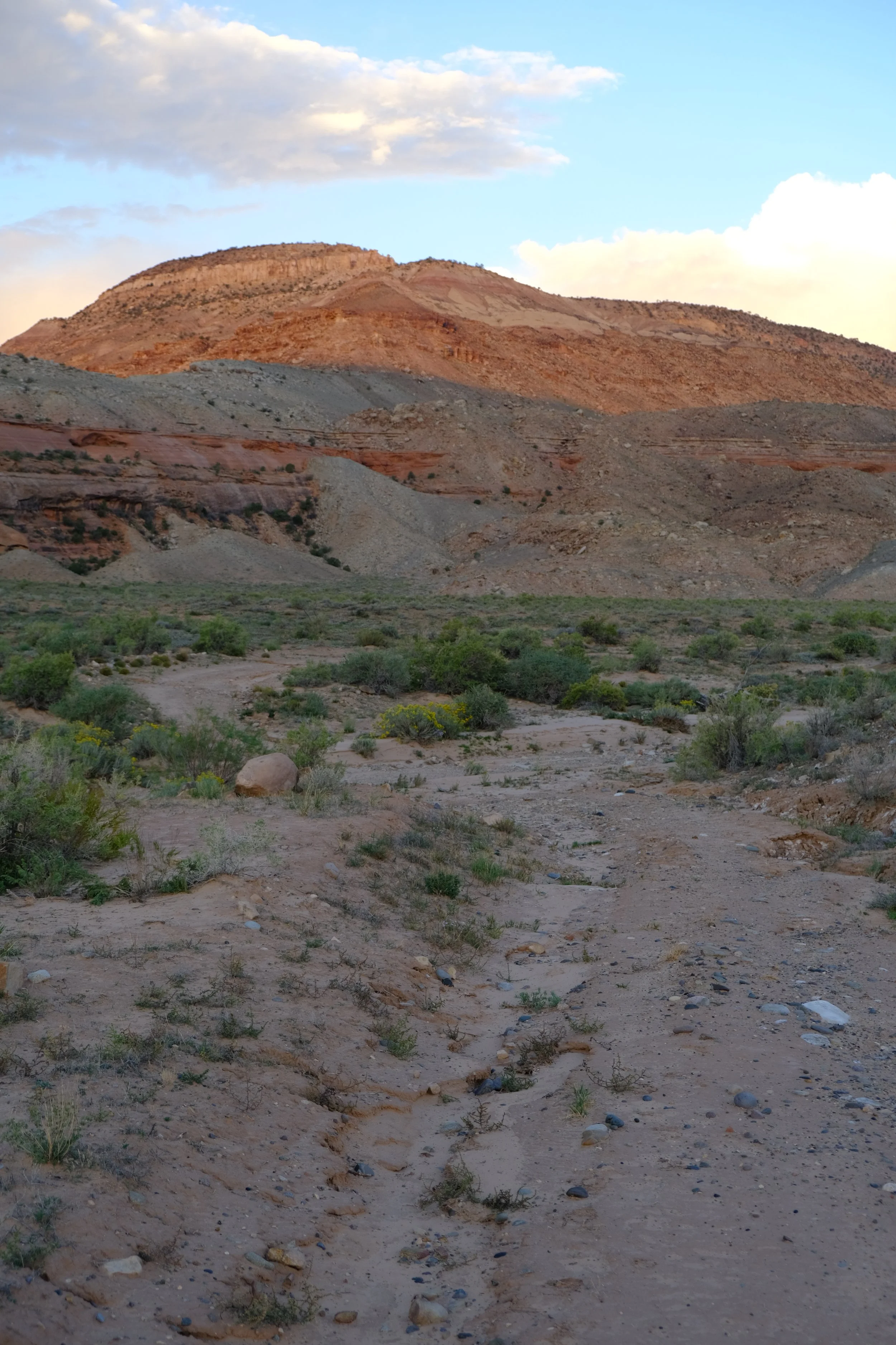 DSCF7424.JPG