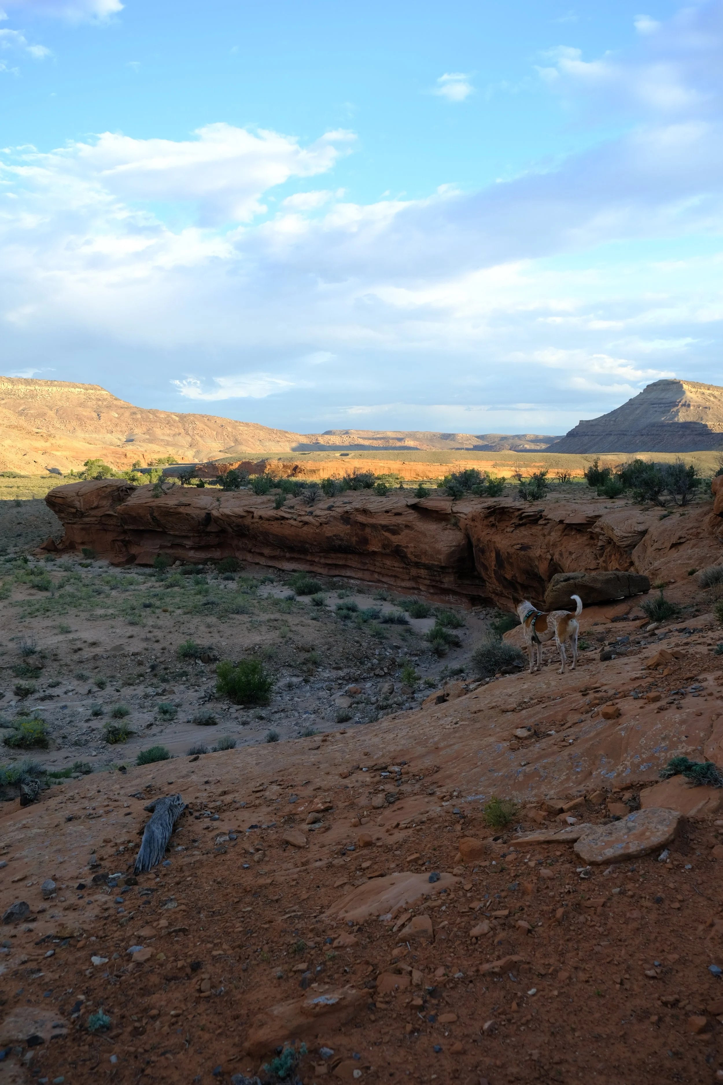 DSCF7444.JPG