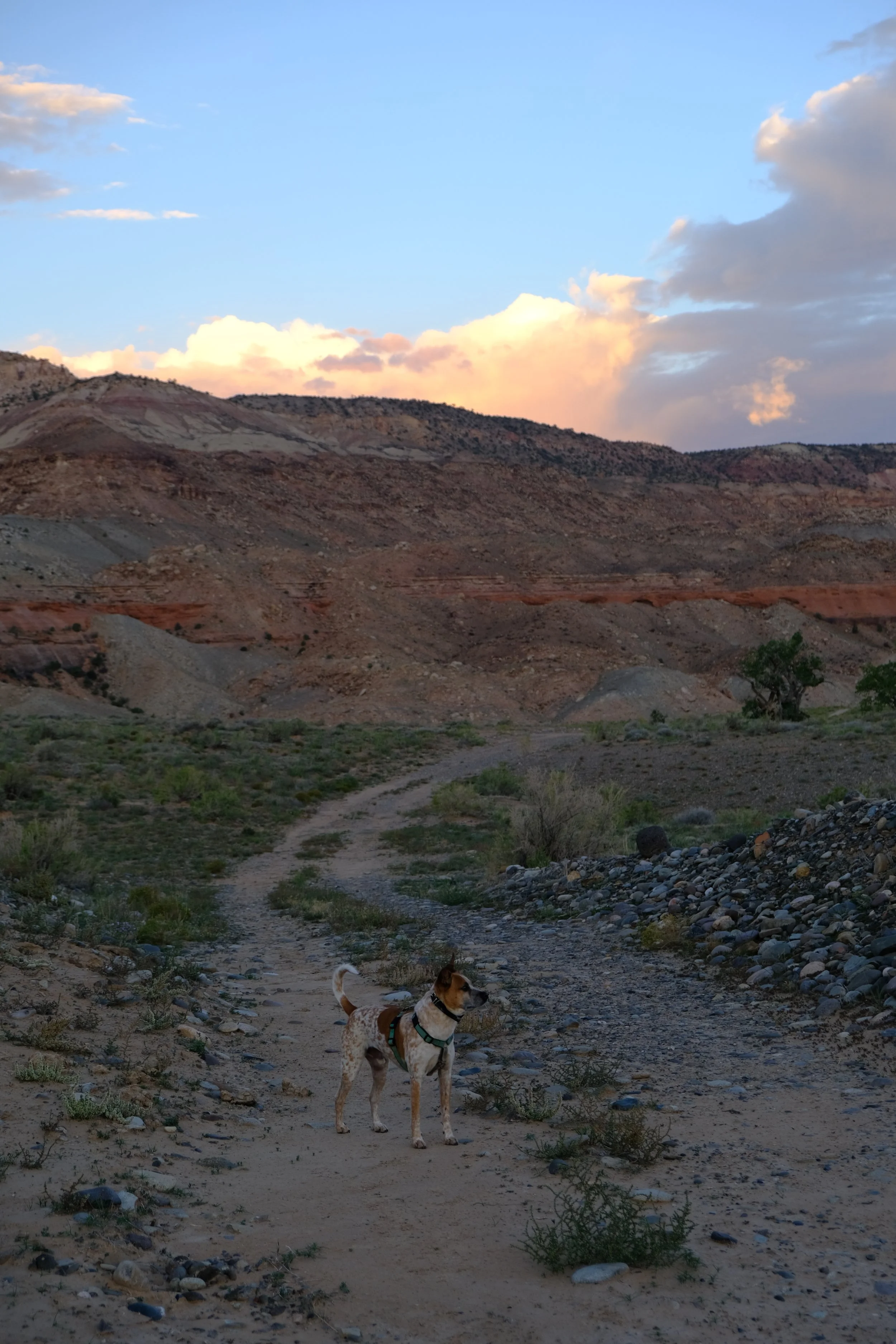 DSCF7421.JPG