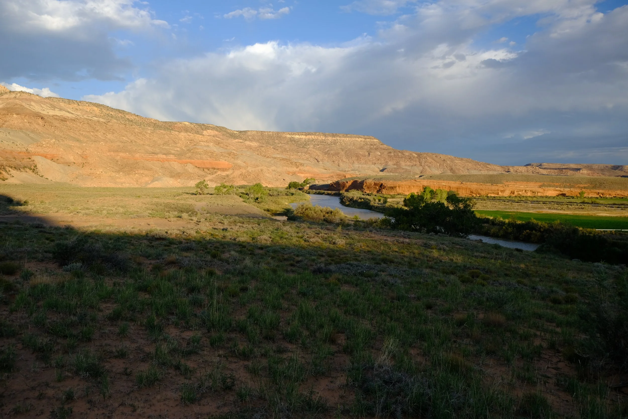 DSCF7449.JPG