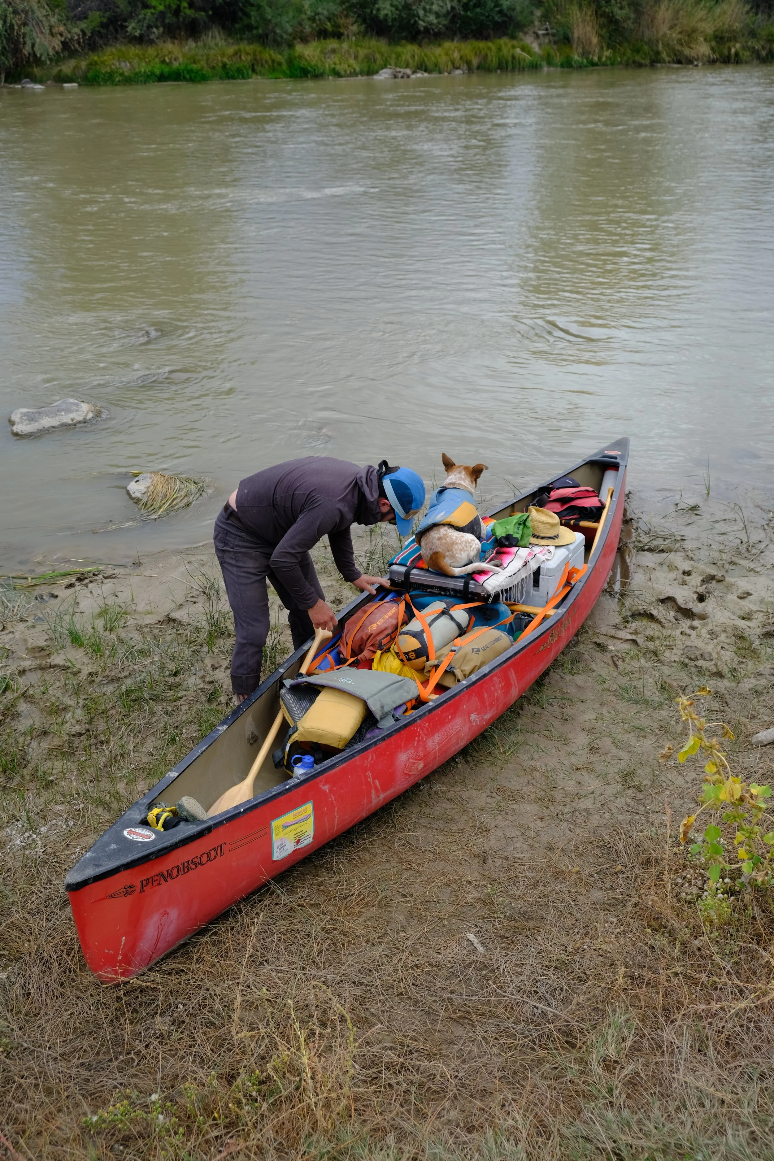 DSCF7453.JPG