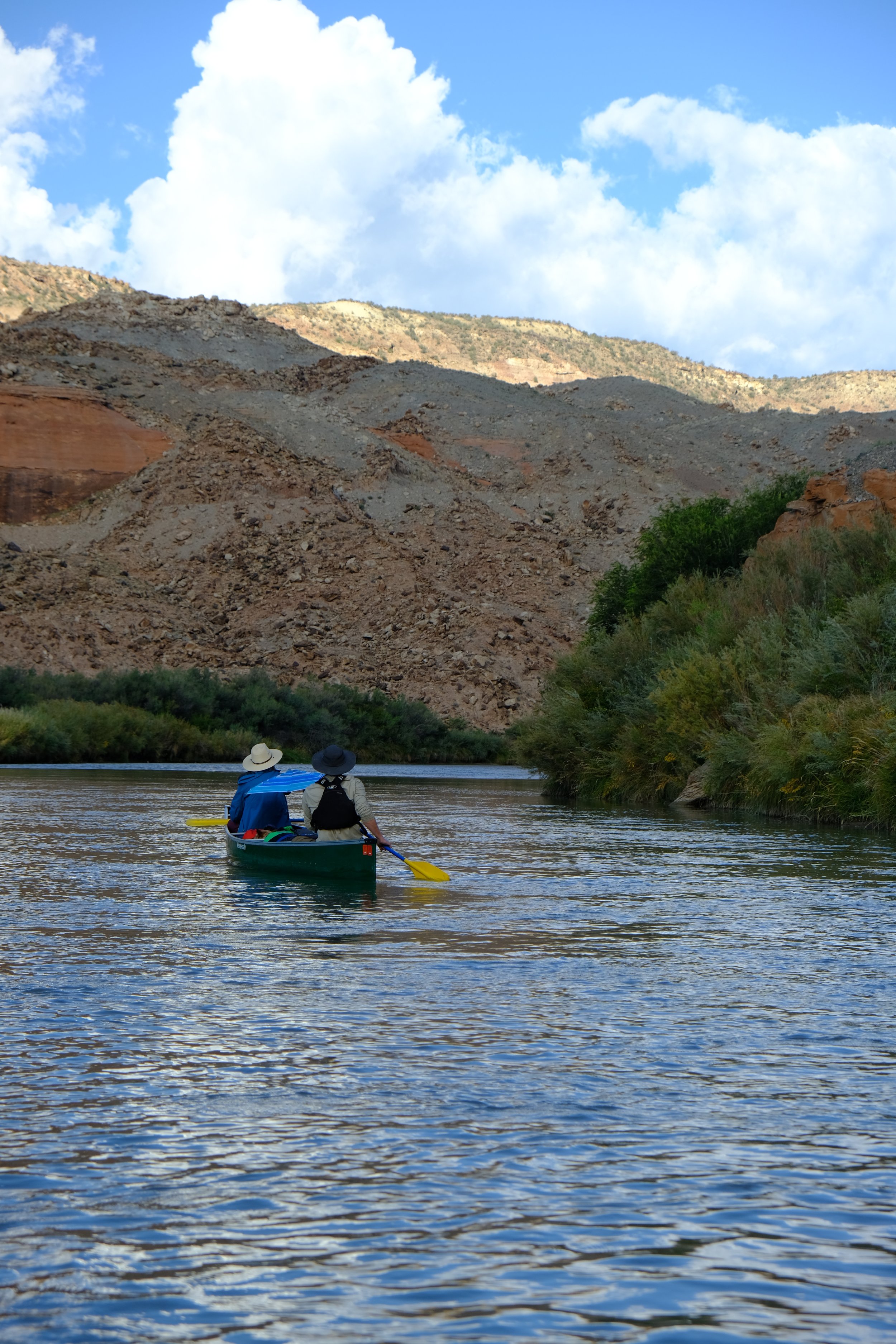 DSCF7462.JPG
